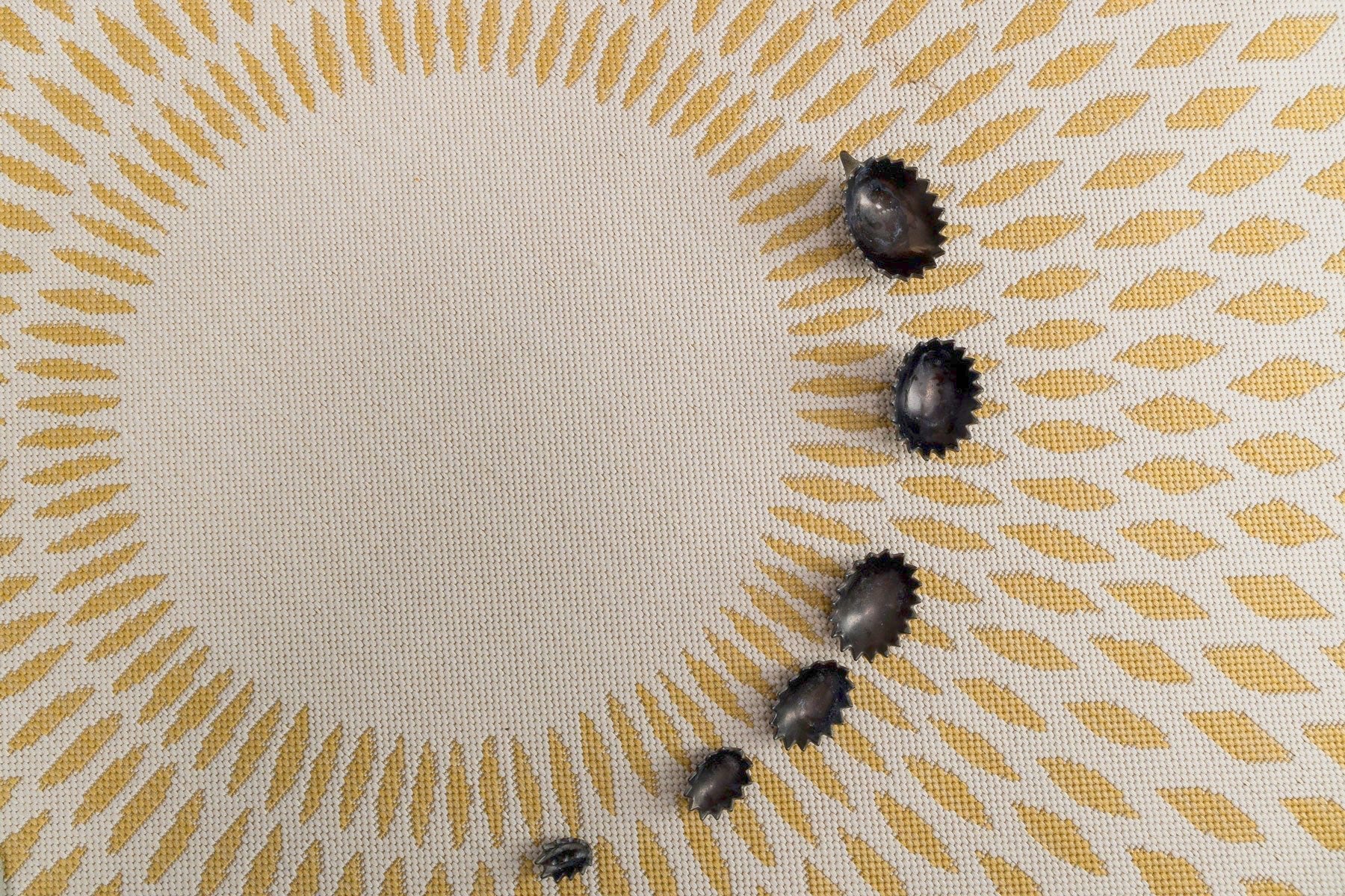 Miniatuur 5