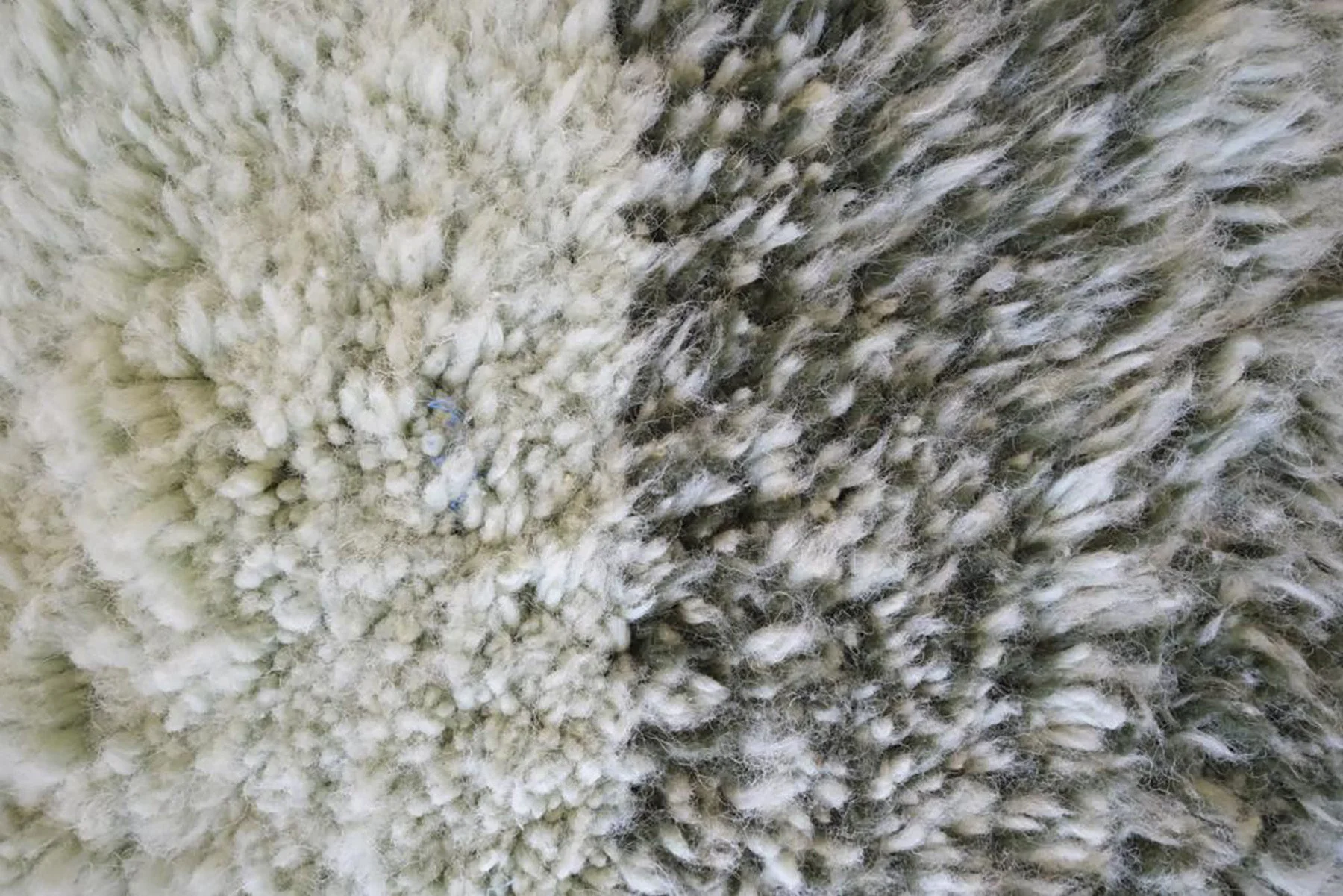 Miniatuur 3