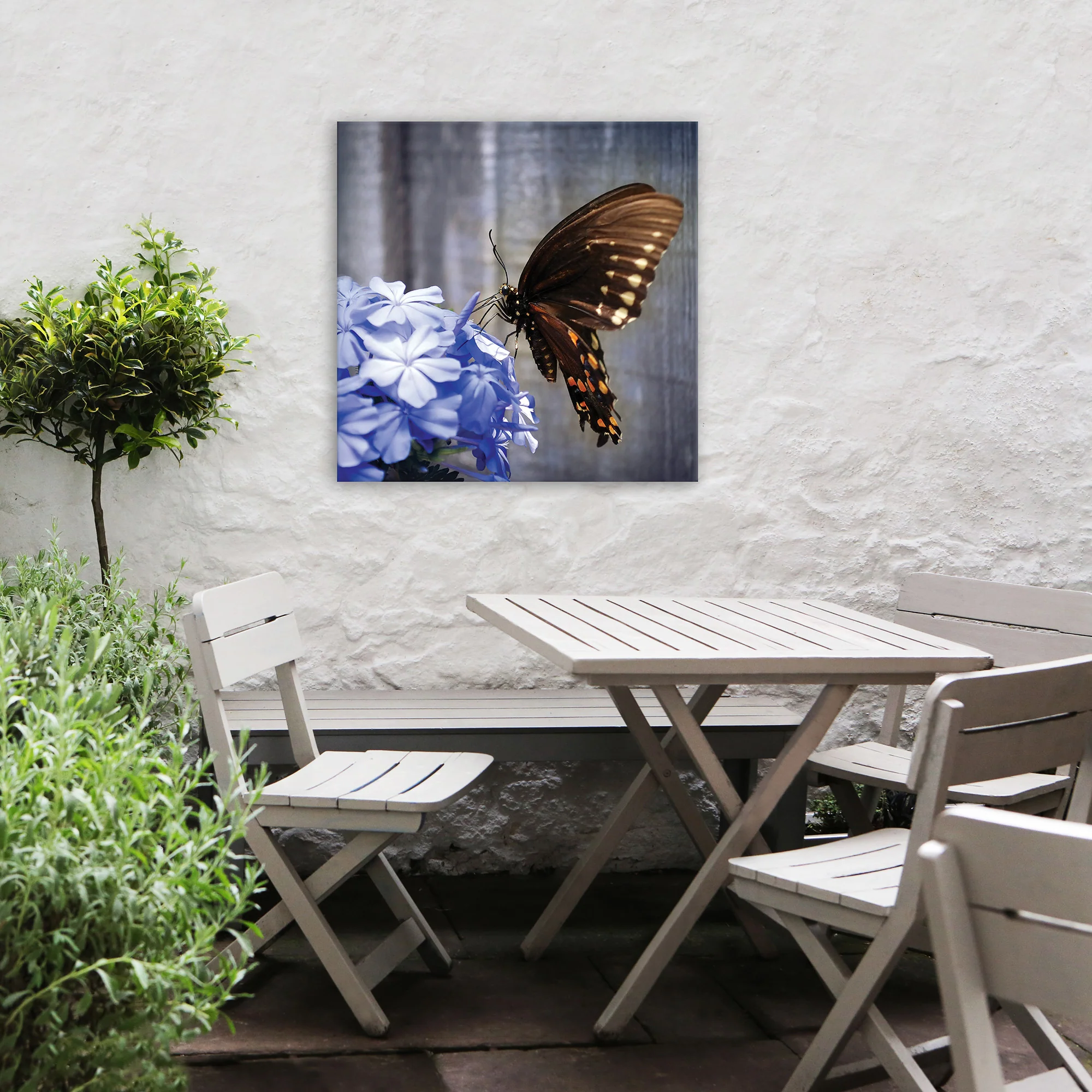 Miniatuur 2
