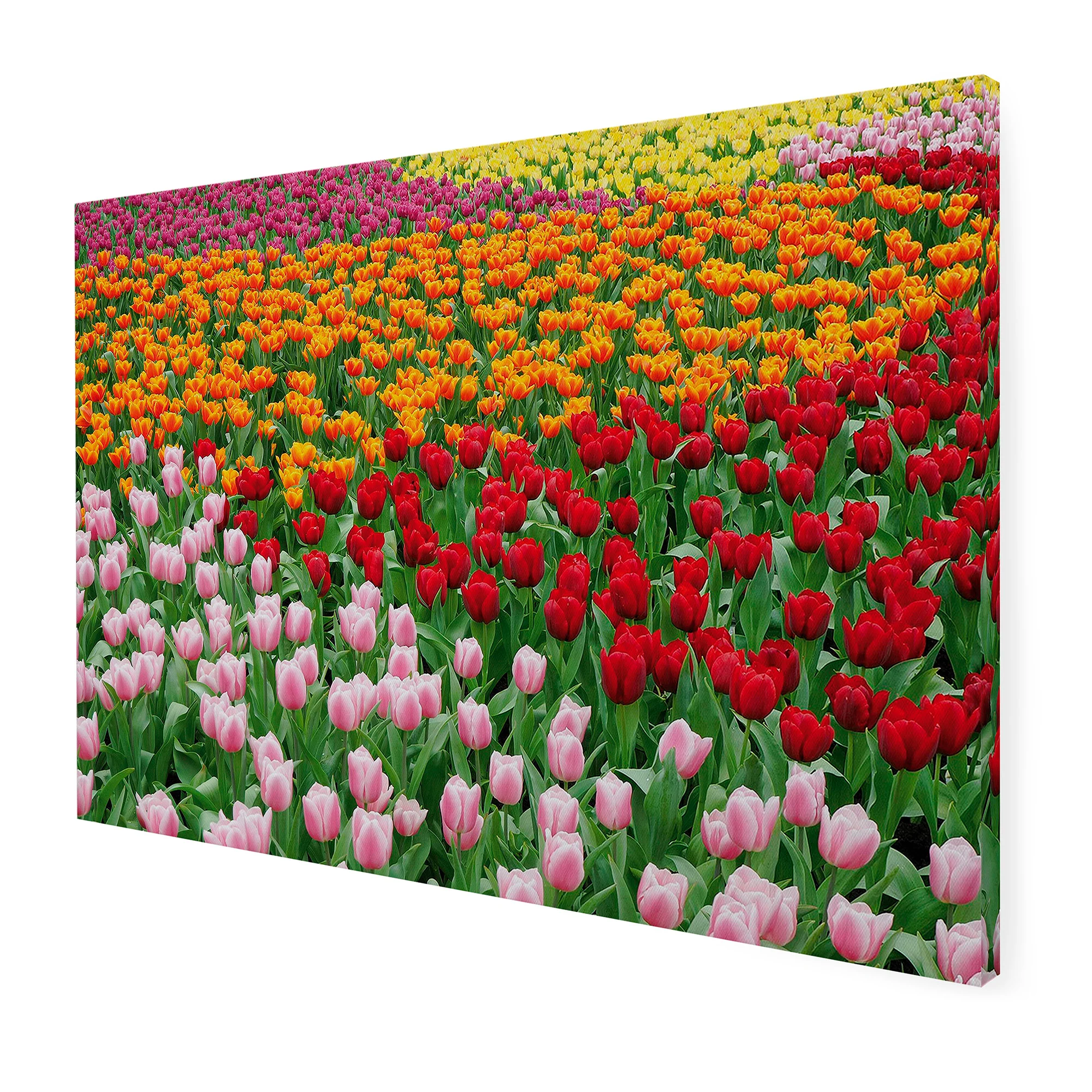 Miniatuur 4