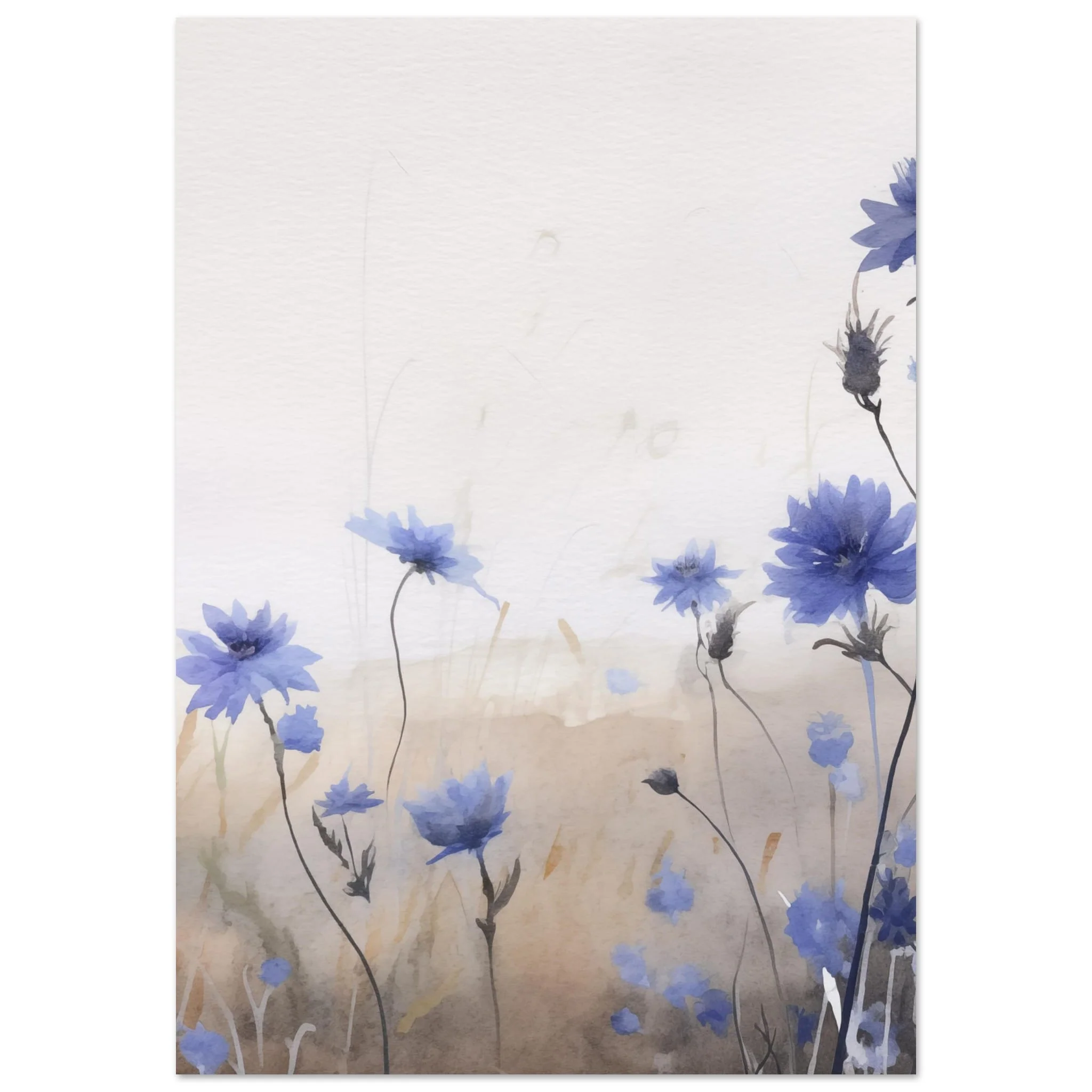 Miniatuur 3