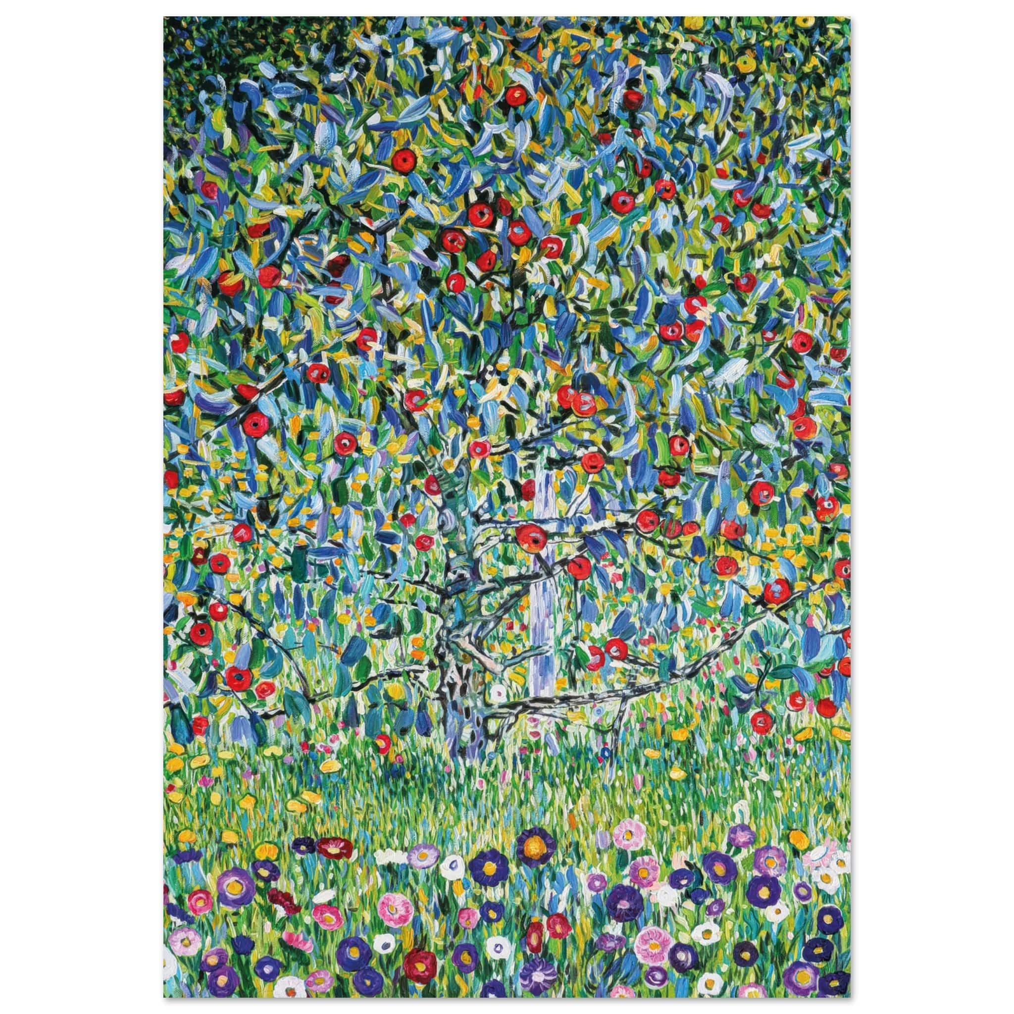 Miniatuur 3