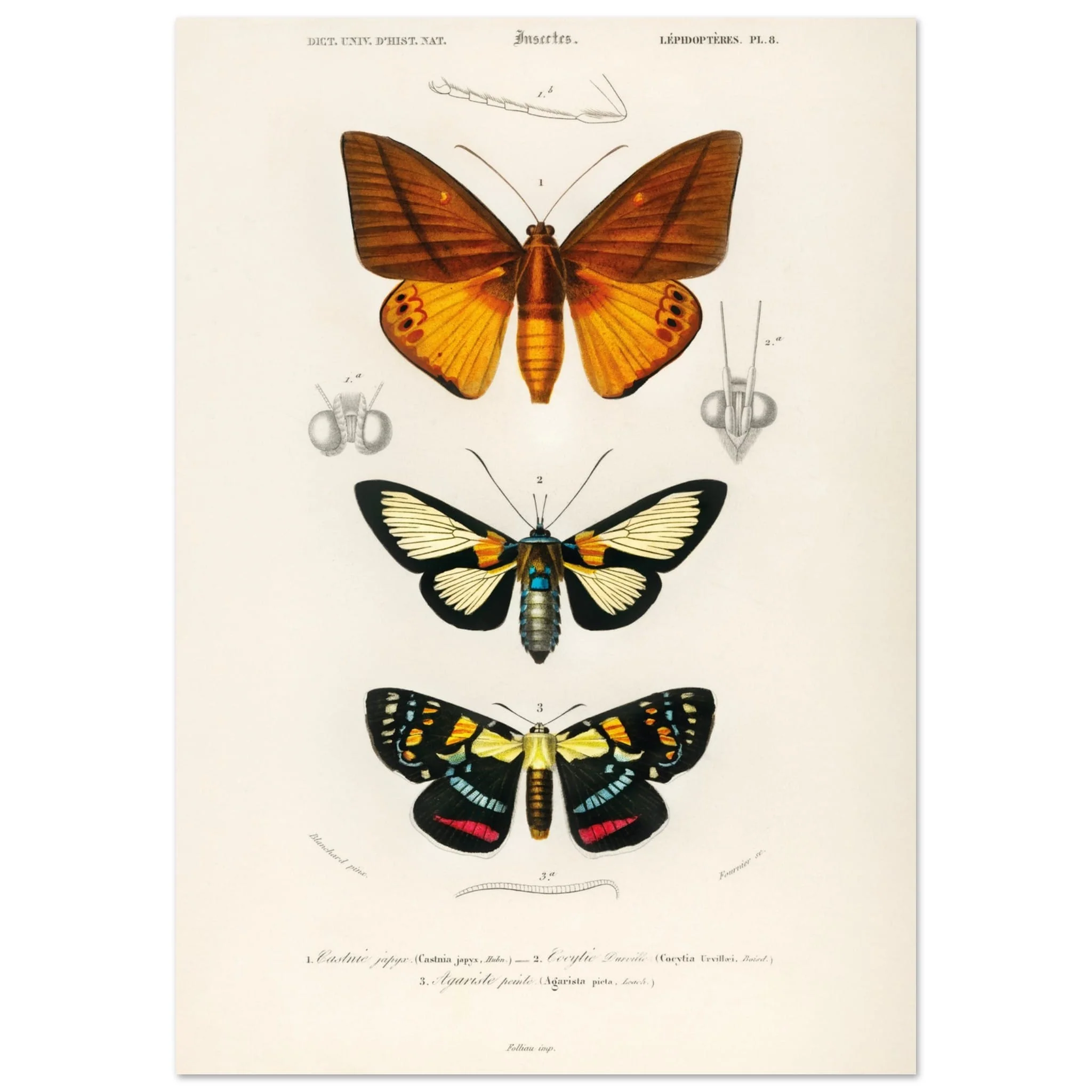 Miniatuur 3