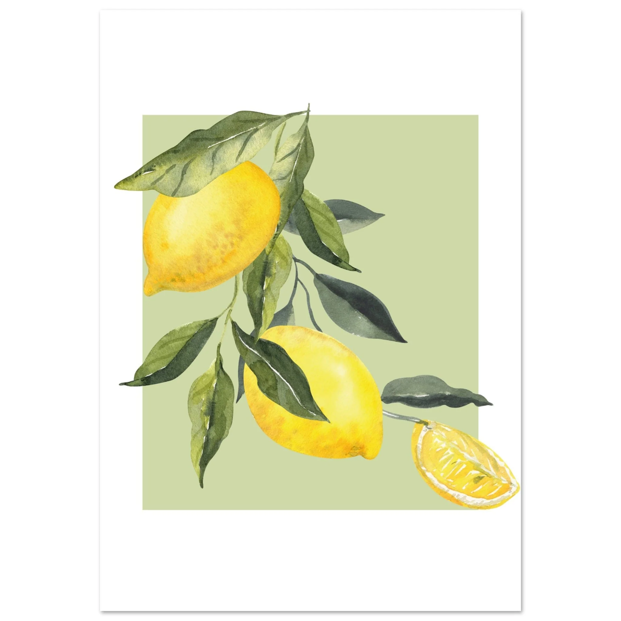 Miniatuur 3