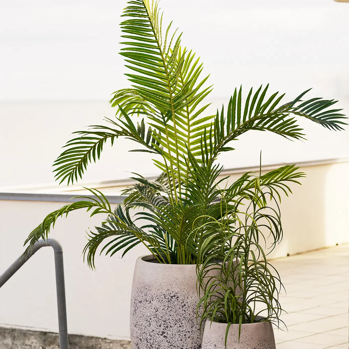 Miniatuur 2