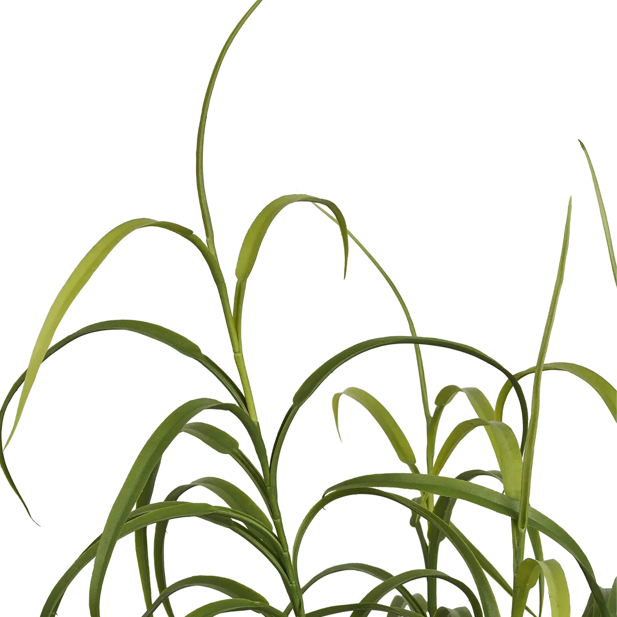 Miniatuur 3