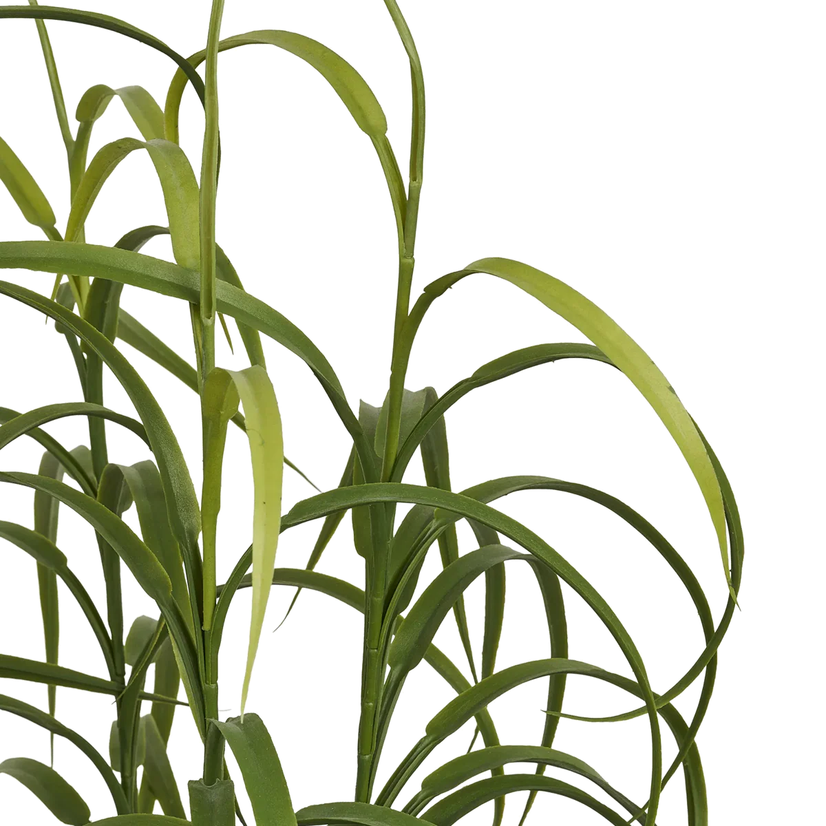 Miniatuur 4