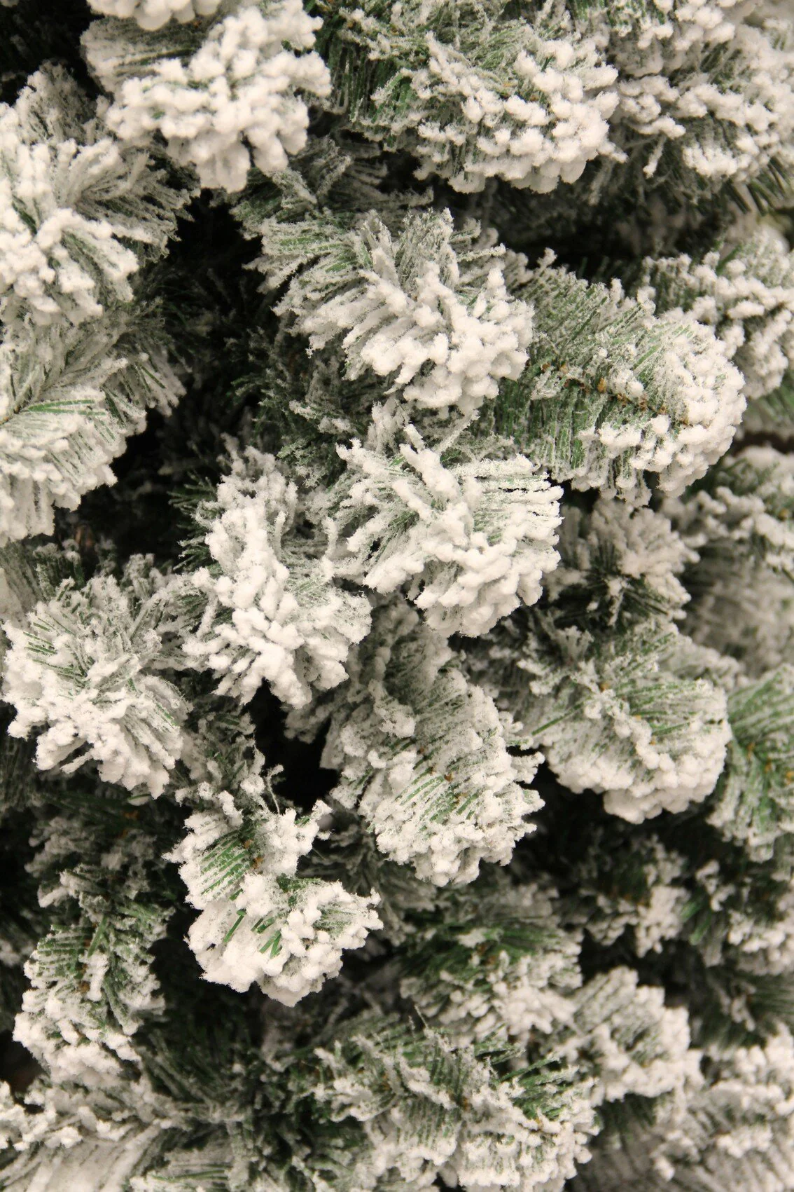 Miniatuur 2