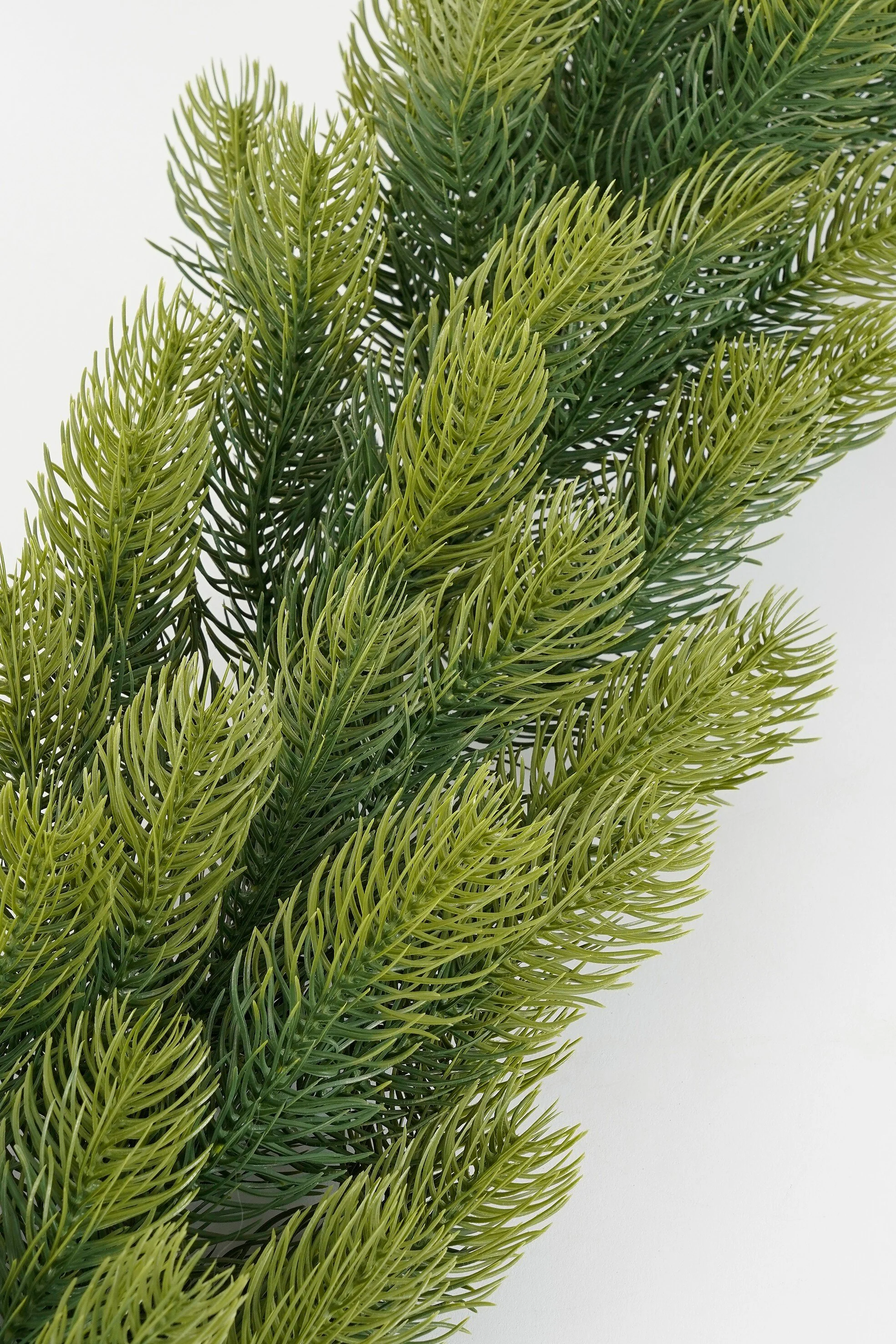 Miniatuur 3