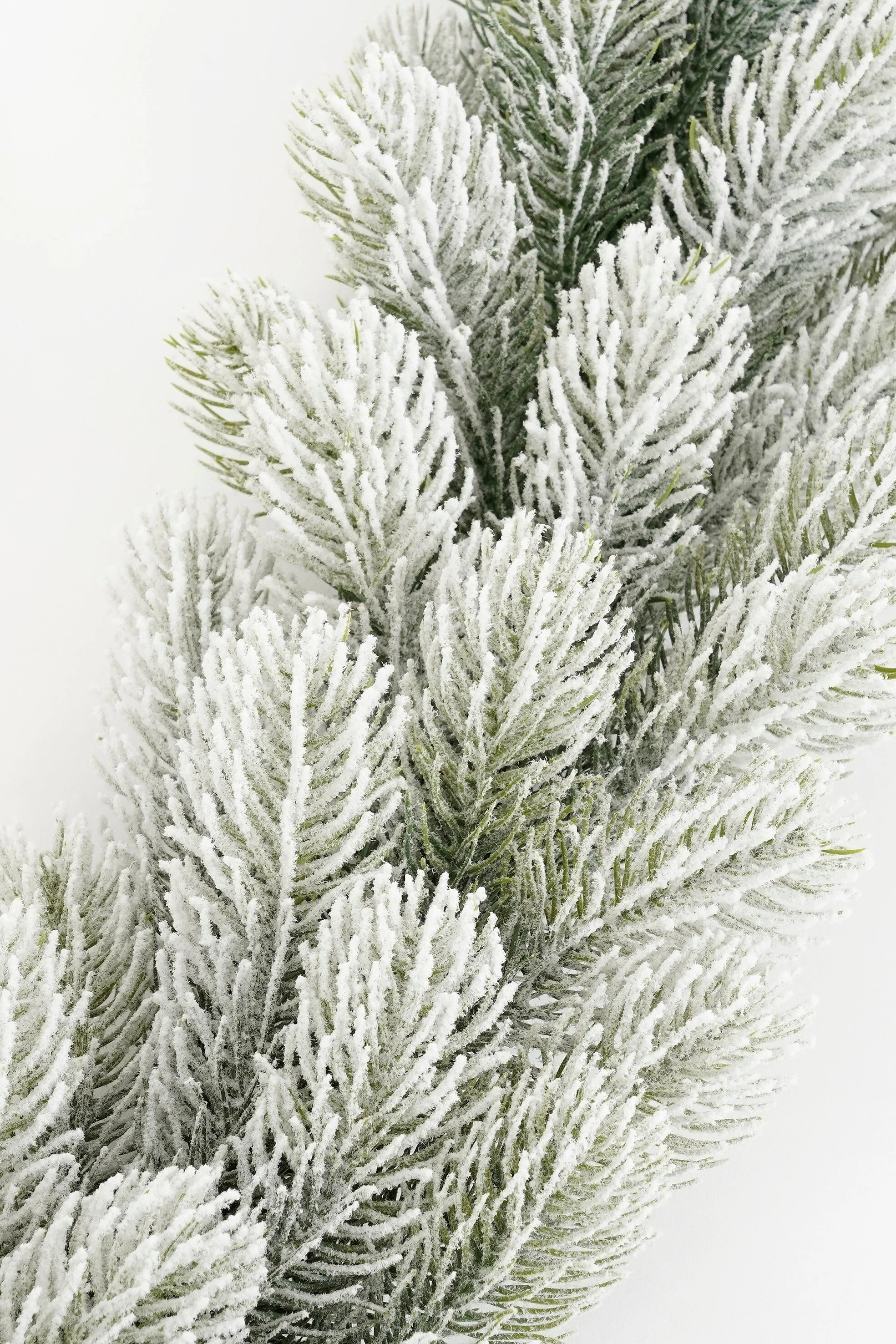 Miniatuur 3