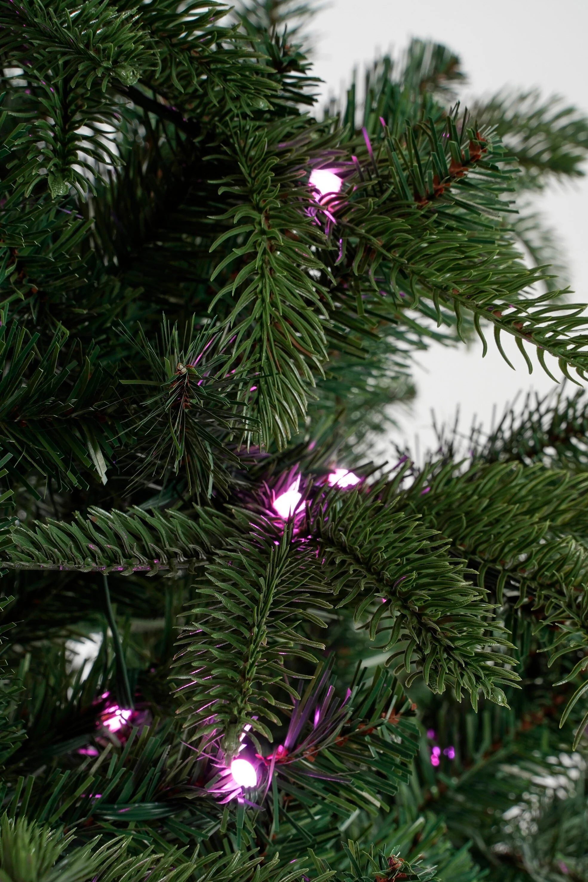 Miniatuur 2