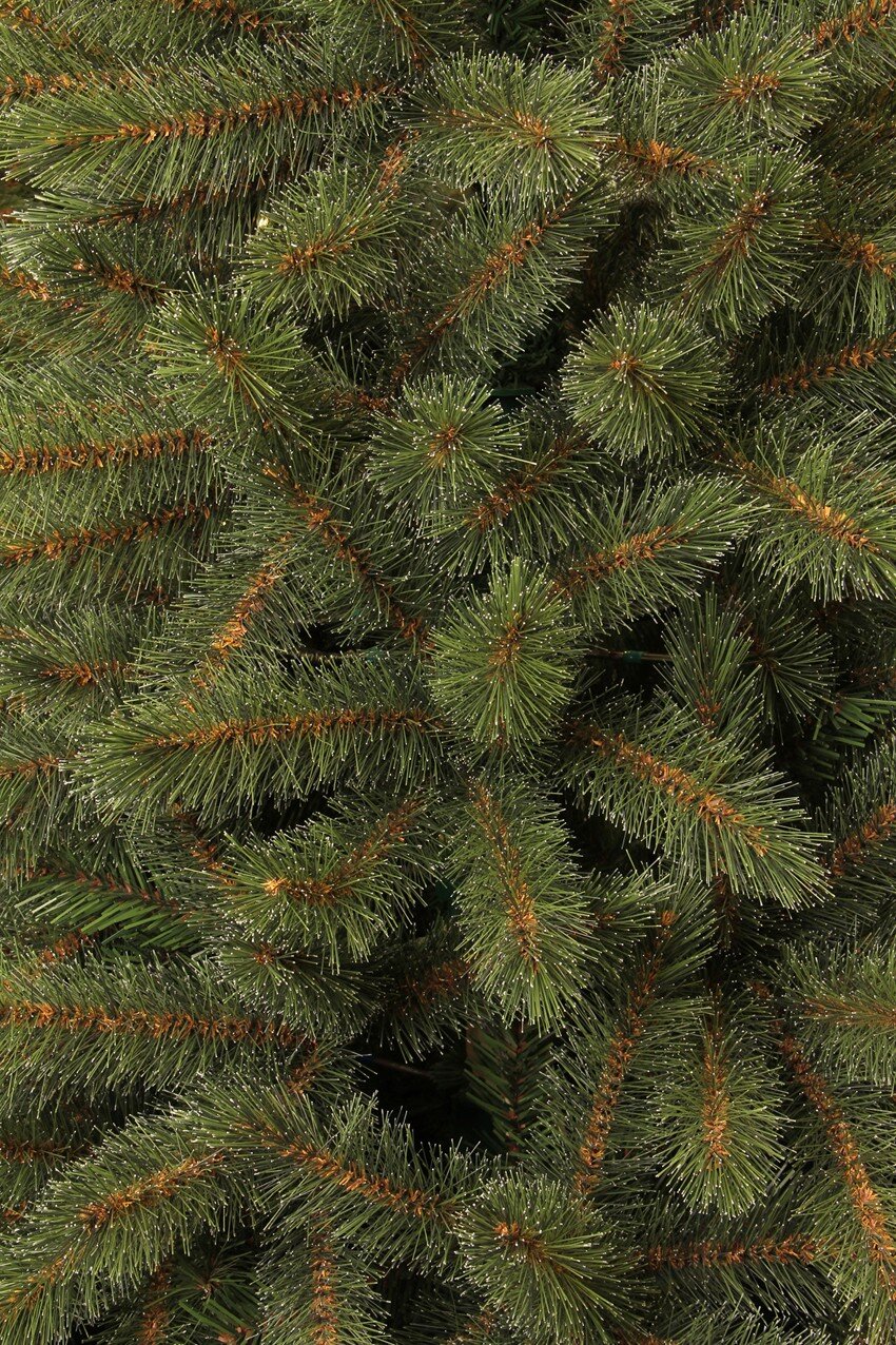 Miniatuur 2