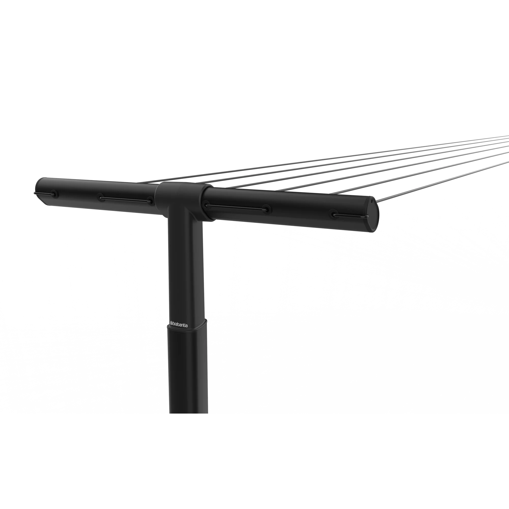 Miniatuur 6