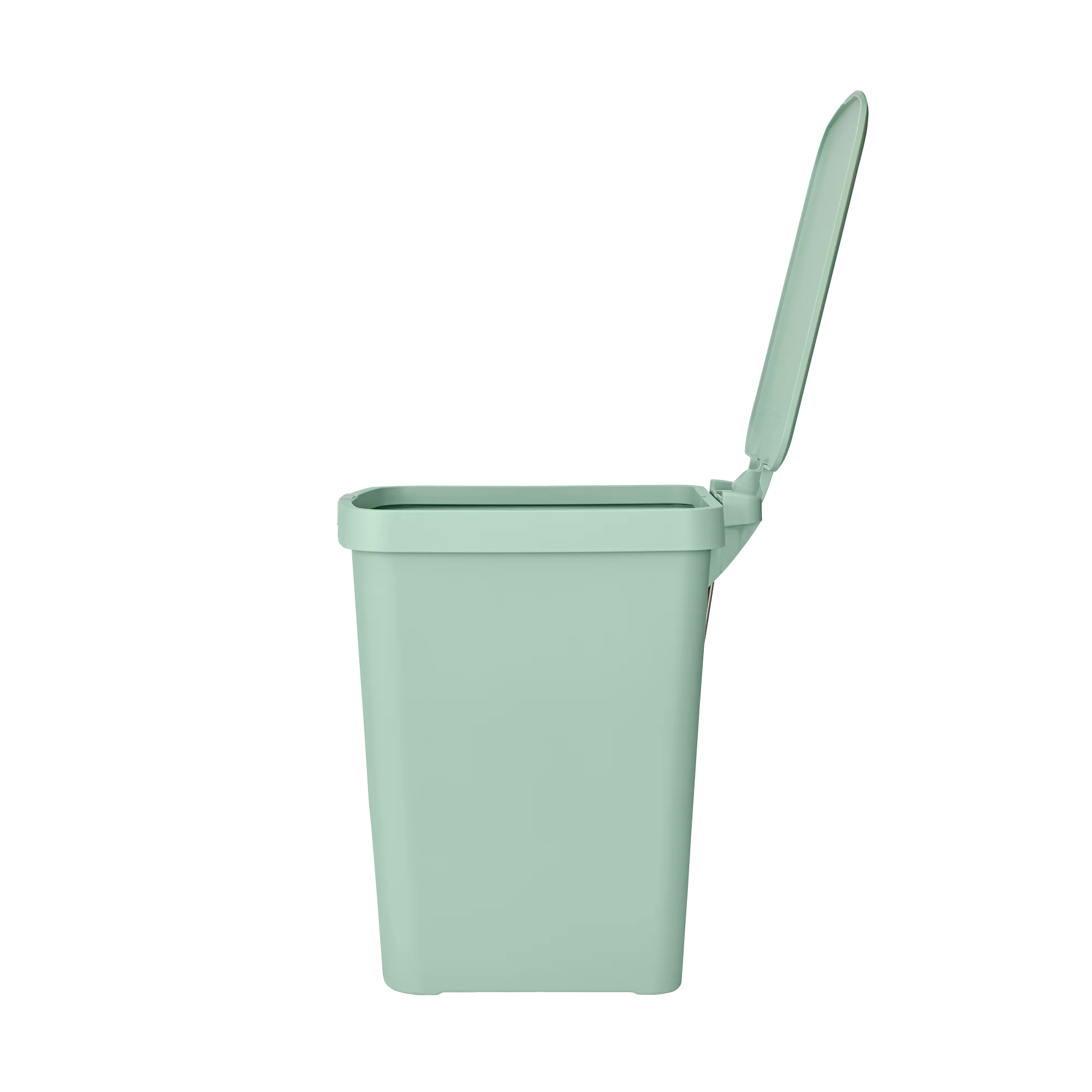 Miniatuur 5