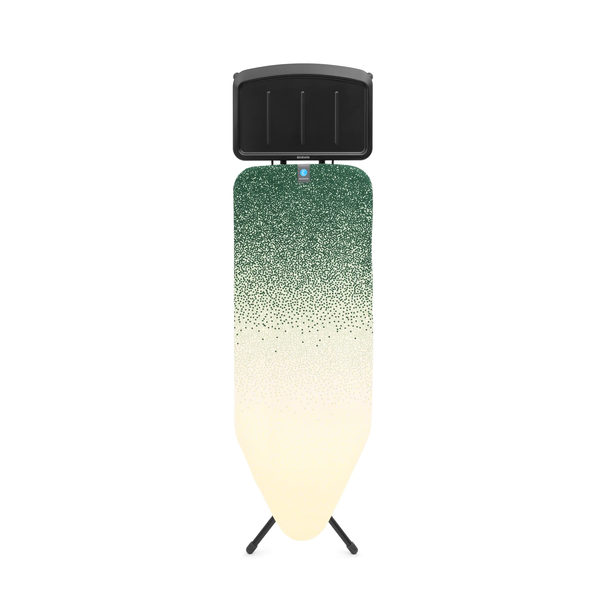 Miniatuur 2