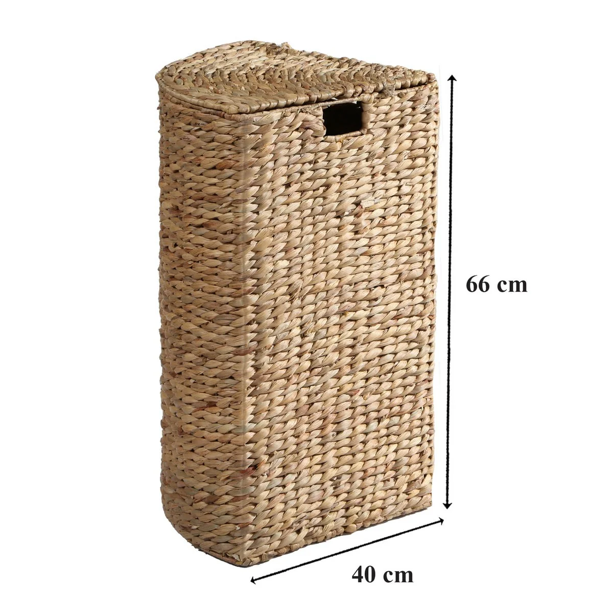 Miniatuur 4