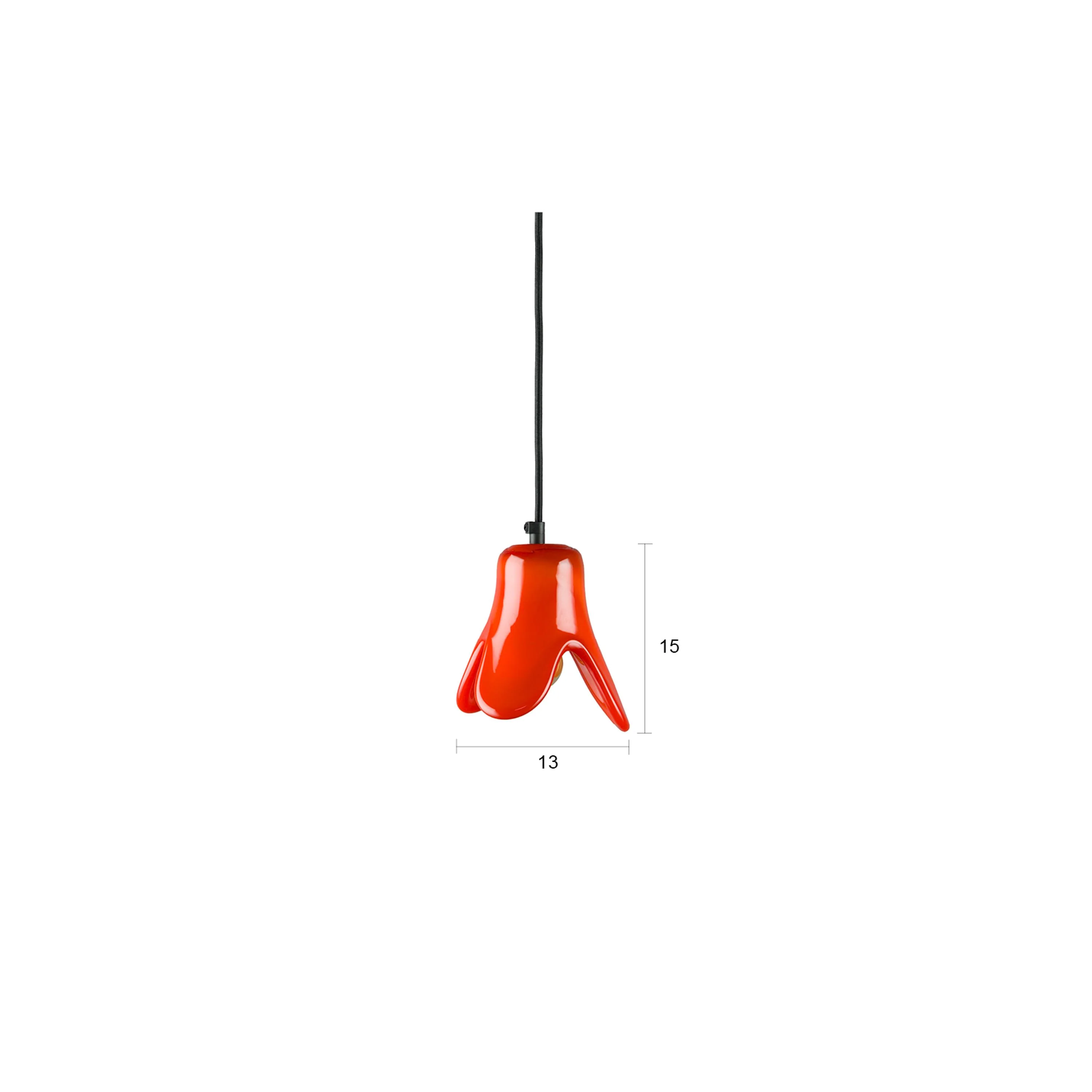 Miniatuur 6