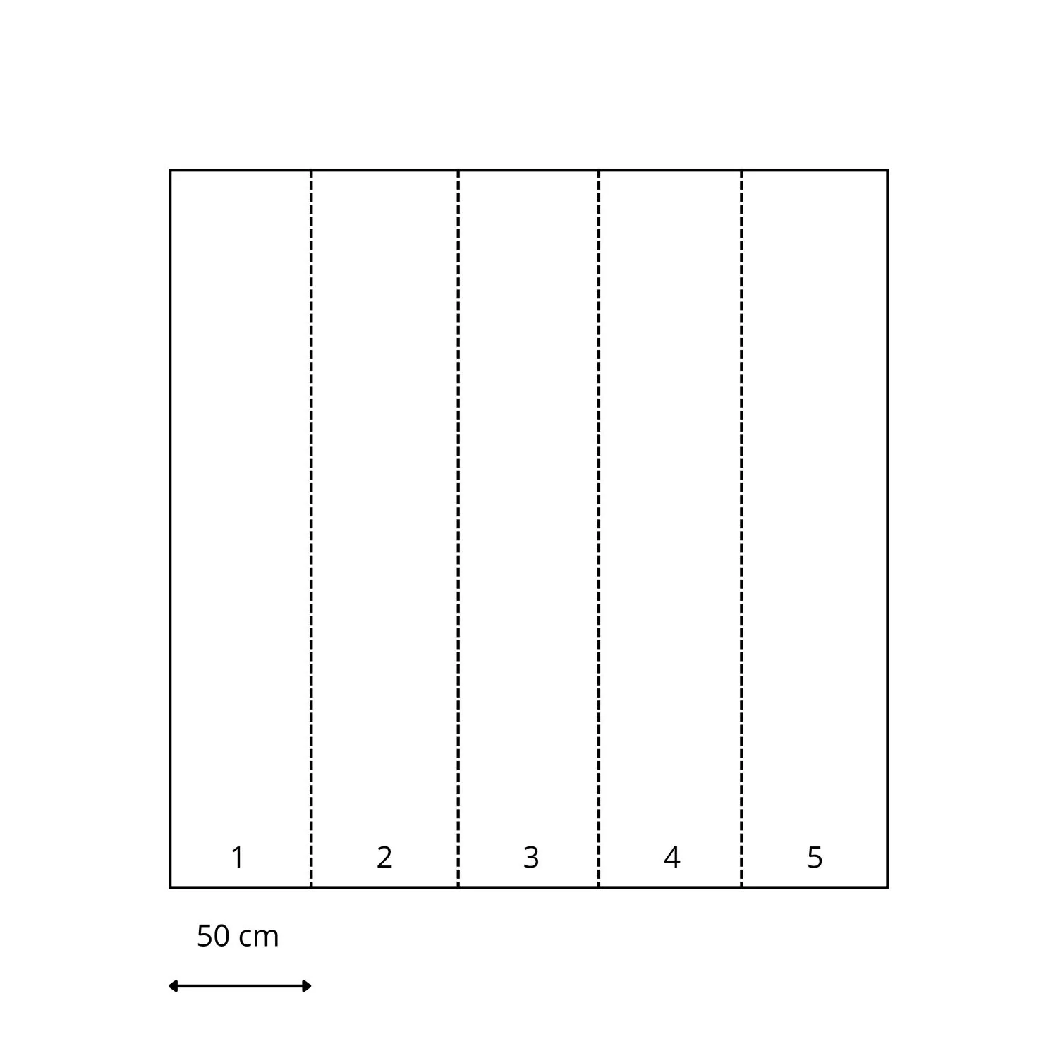 Miniatuur 3