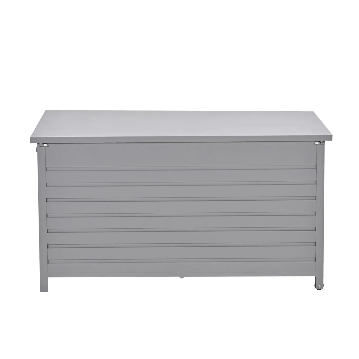 Miniatuur 2
