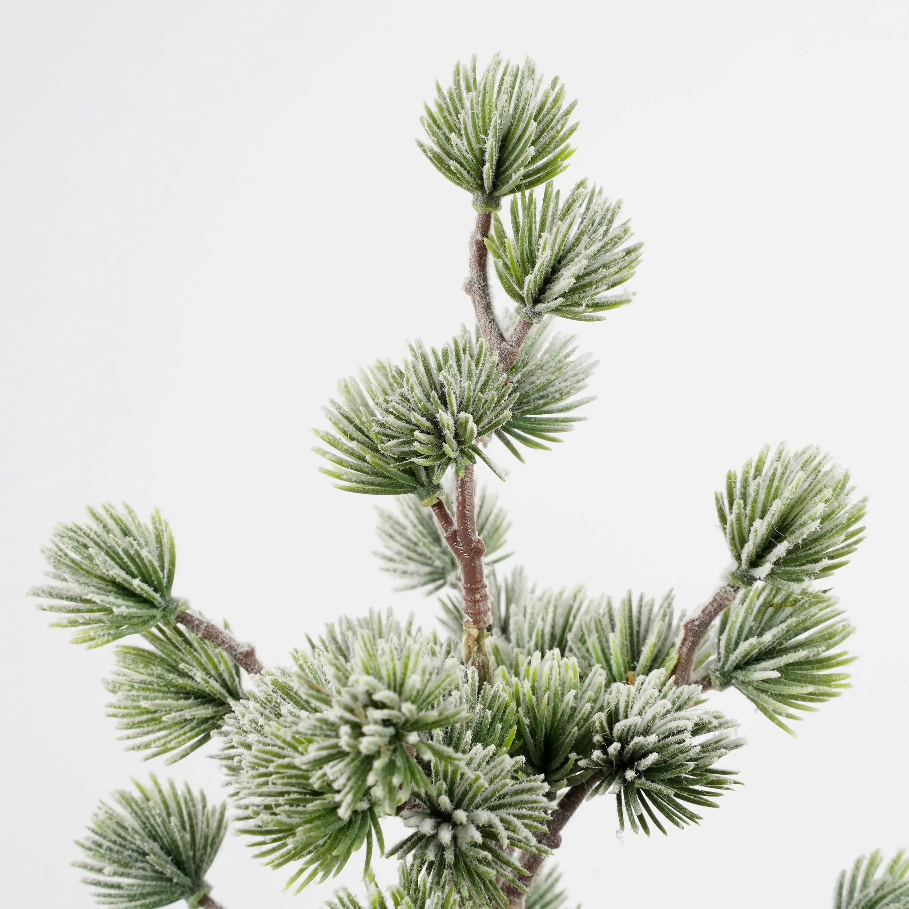 Miniatuur 4