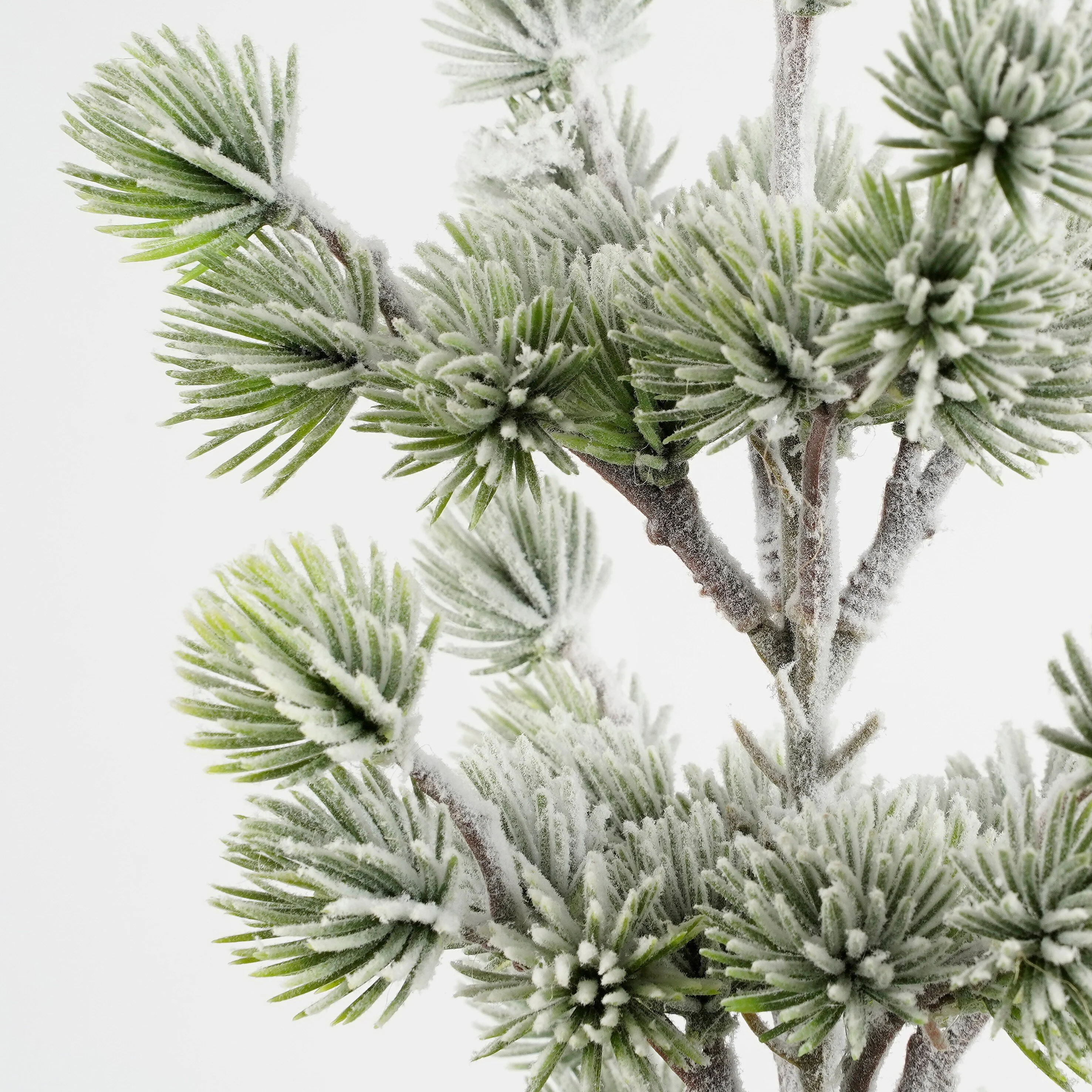 Miniatuur 4
