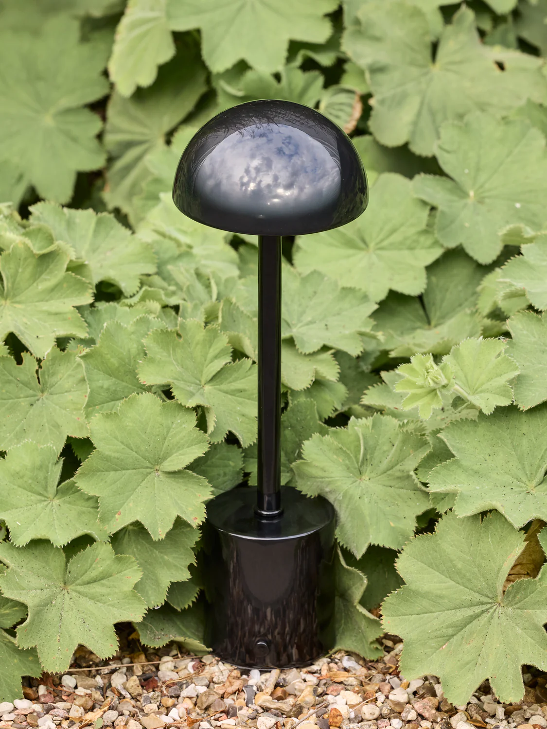 Miniatuur 2