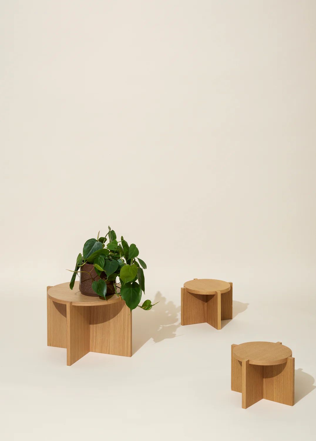 Miniatuur 2