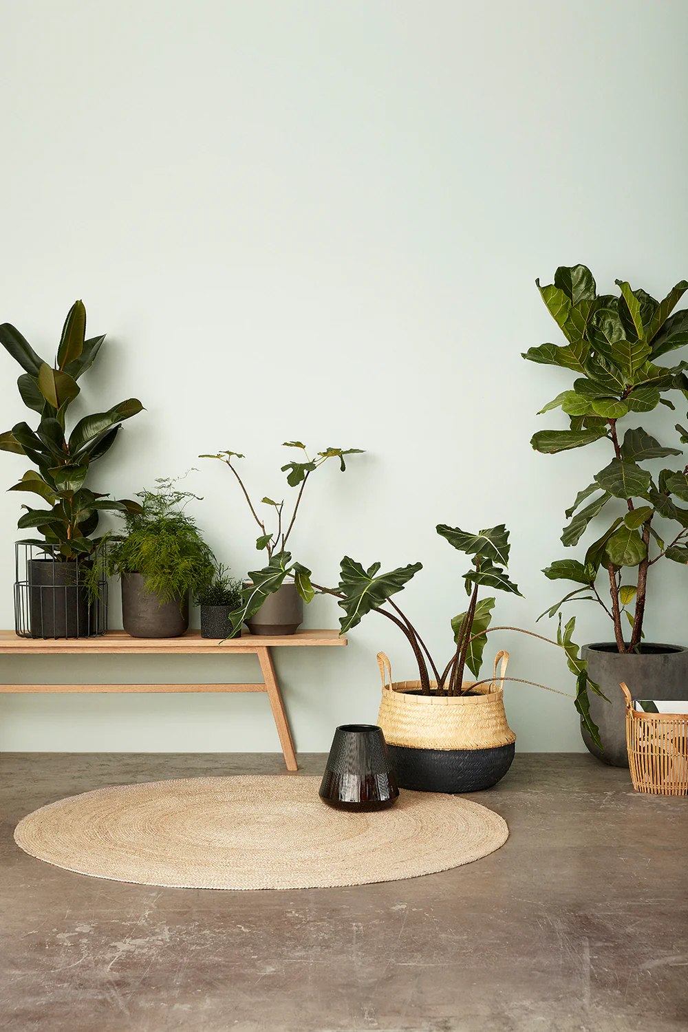 Miniatuur 4
