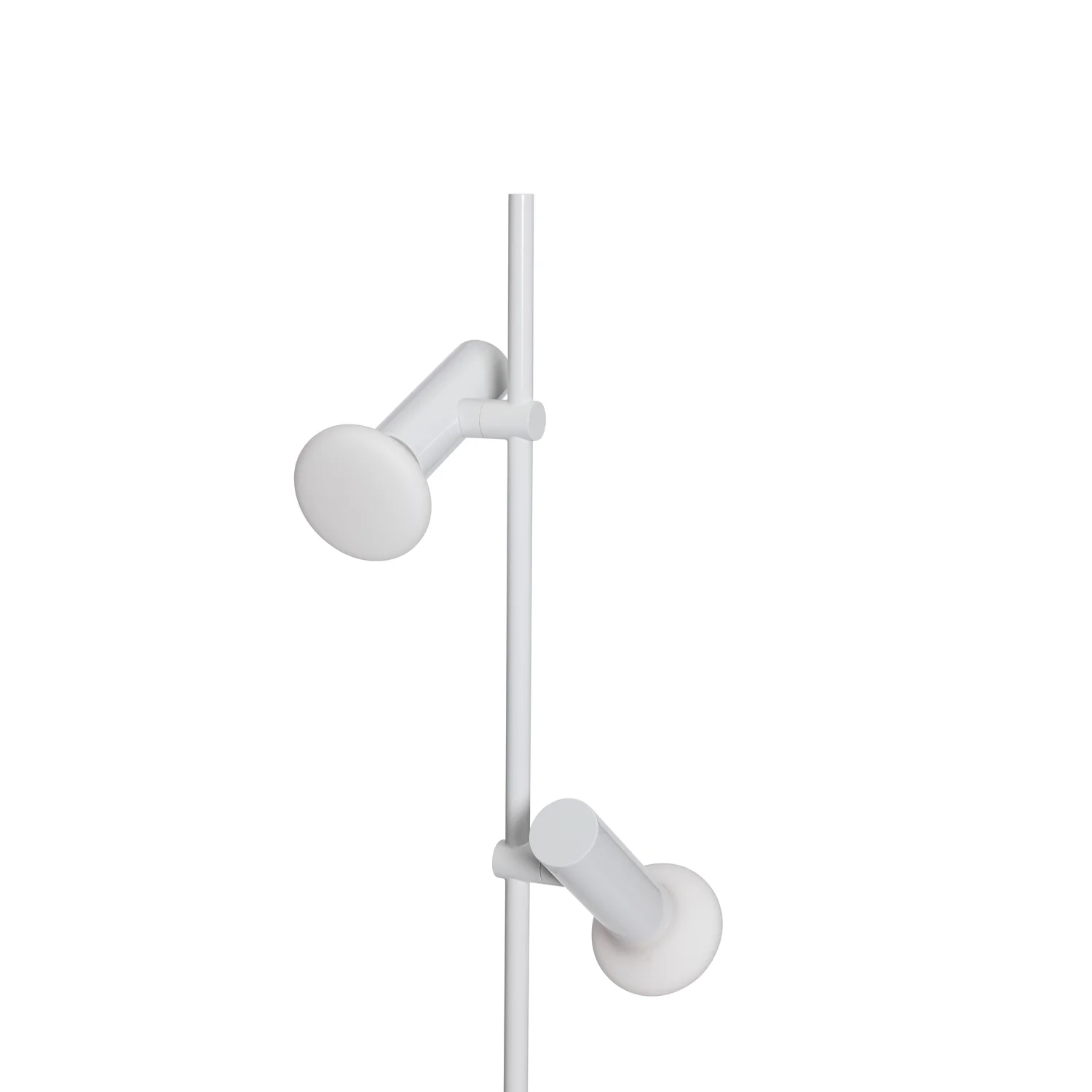 Miniatuur 5