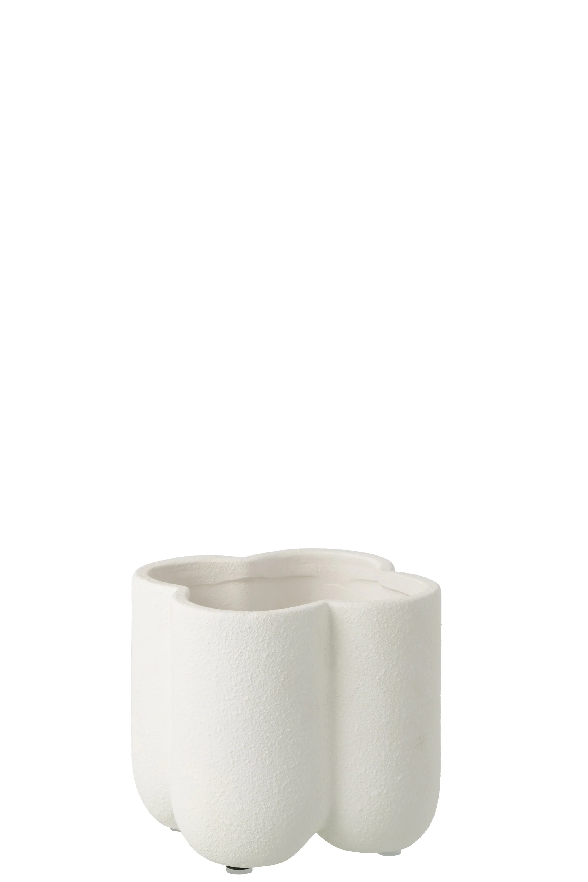 Miniatuur 2