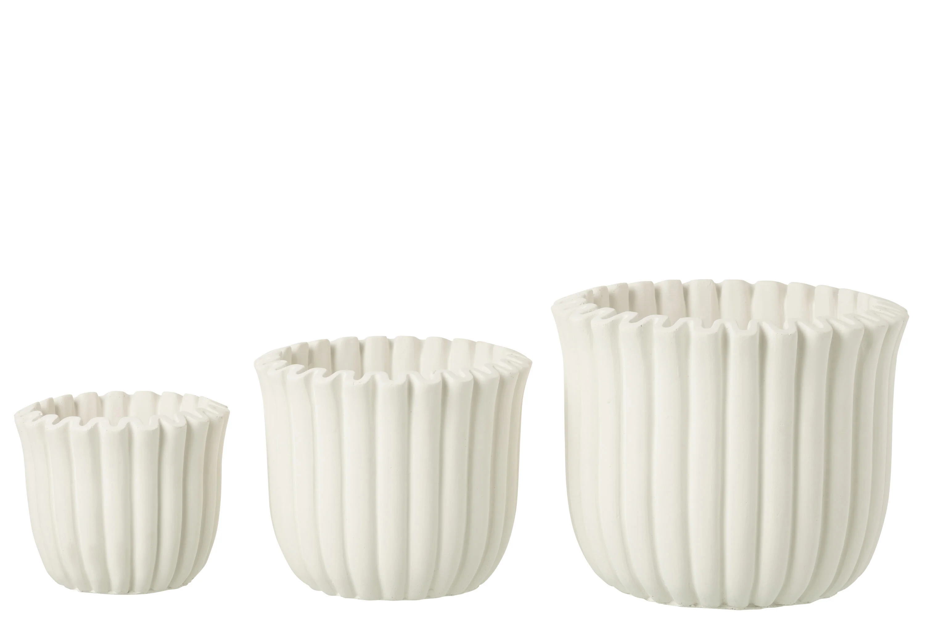Miniatuur 3