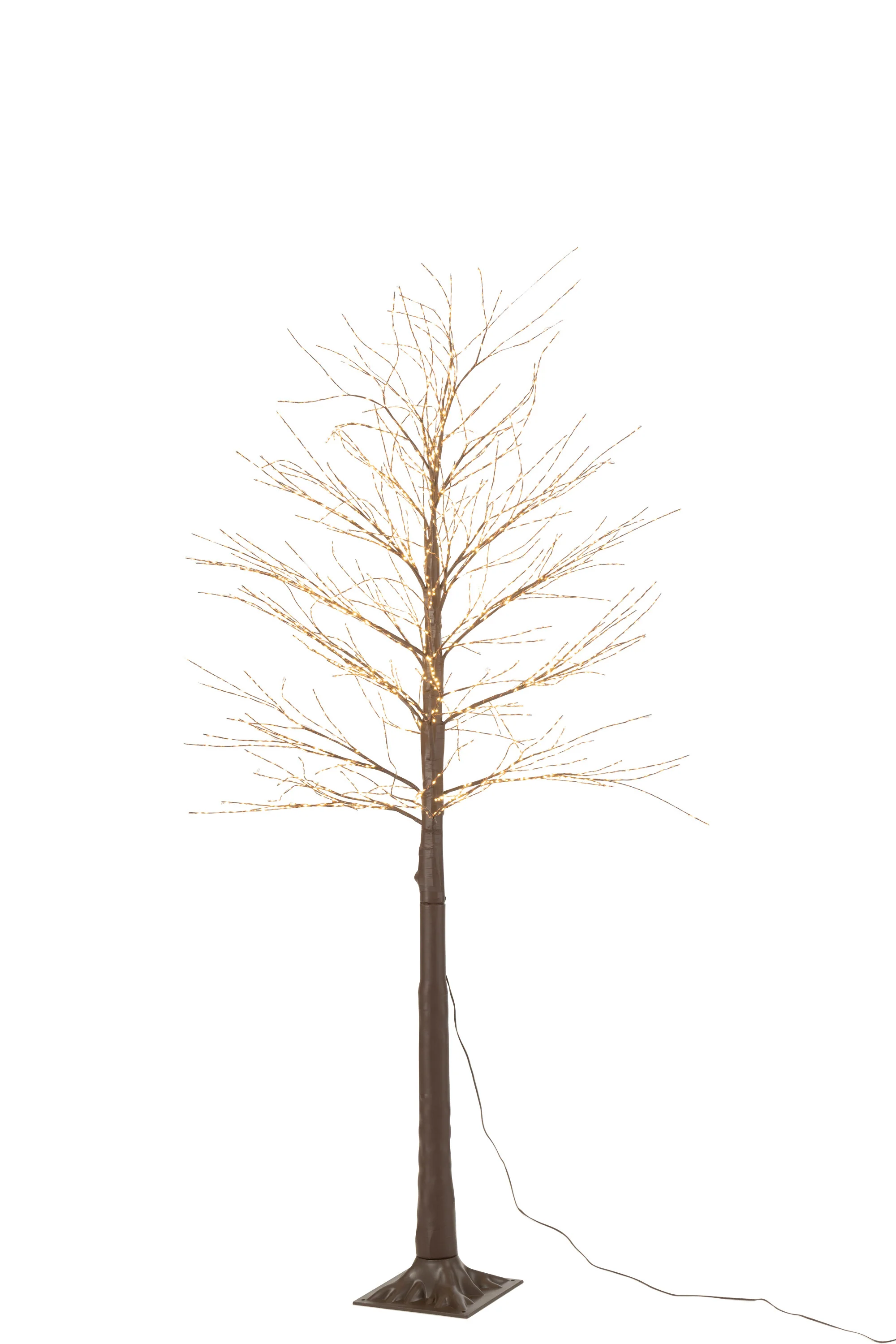 Miniatuur 2