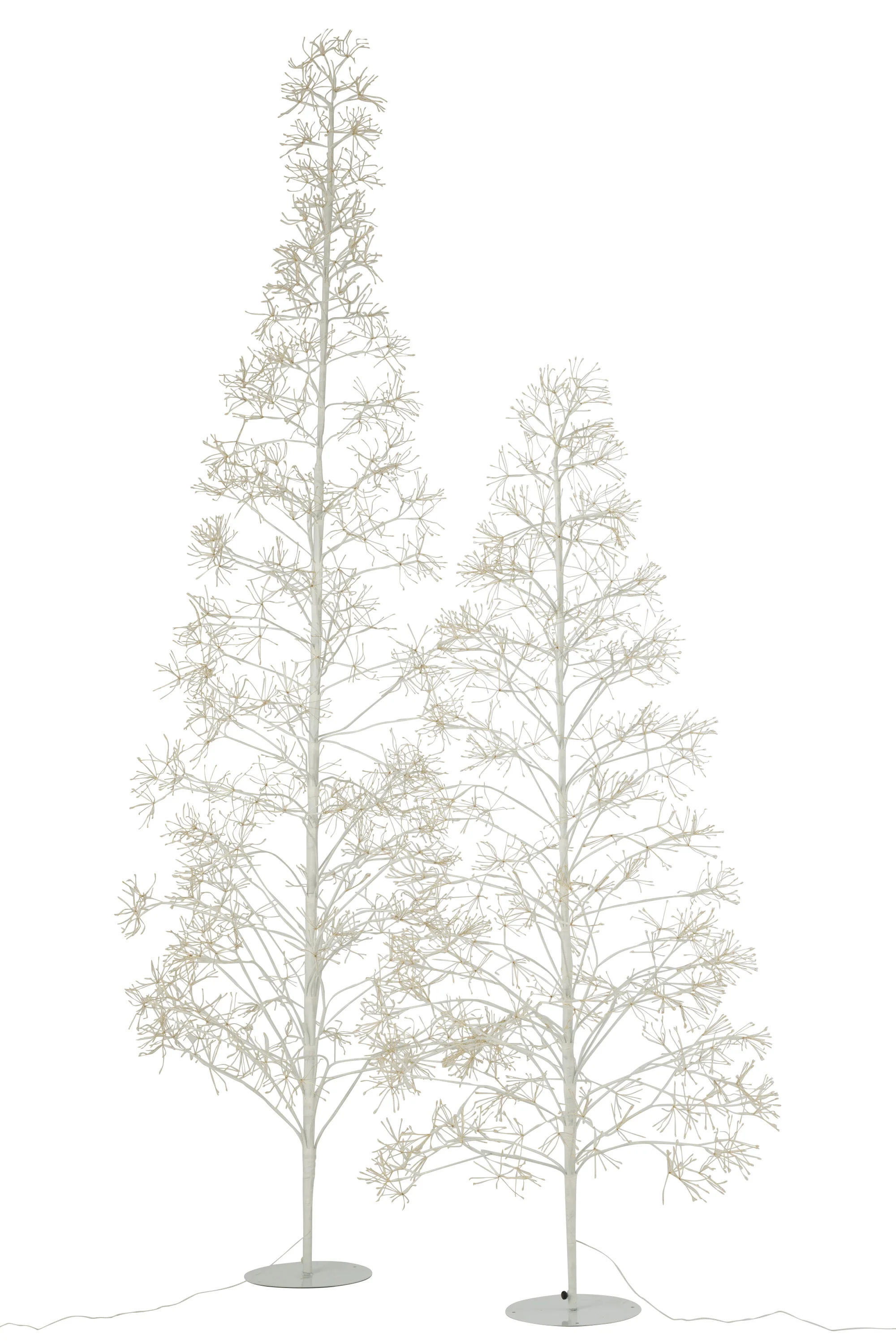 Miniatuur 5