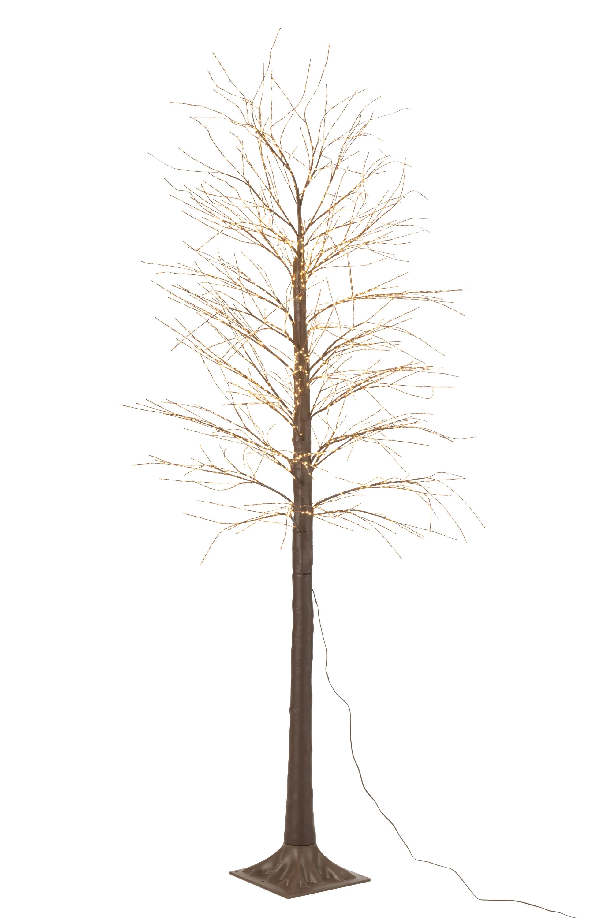 Miniatuur 5