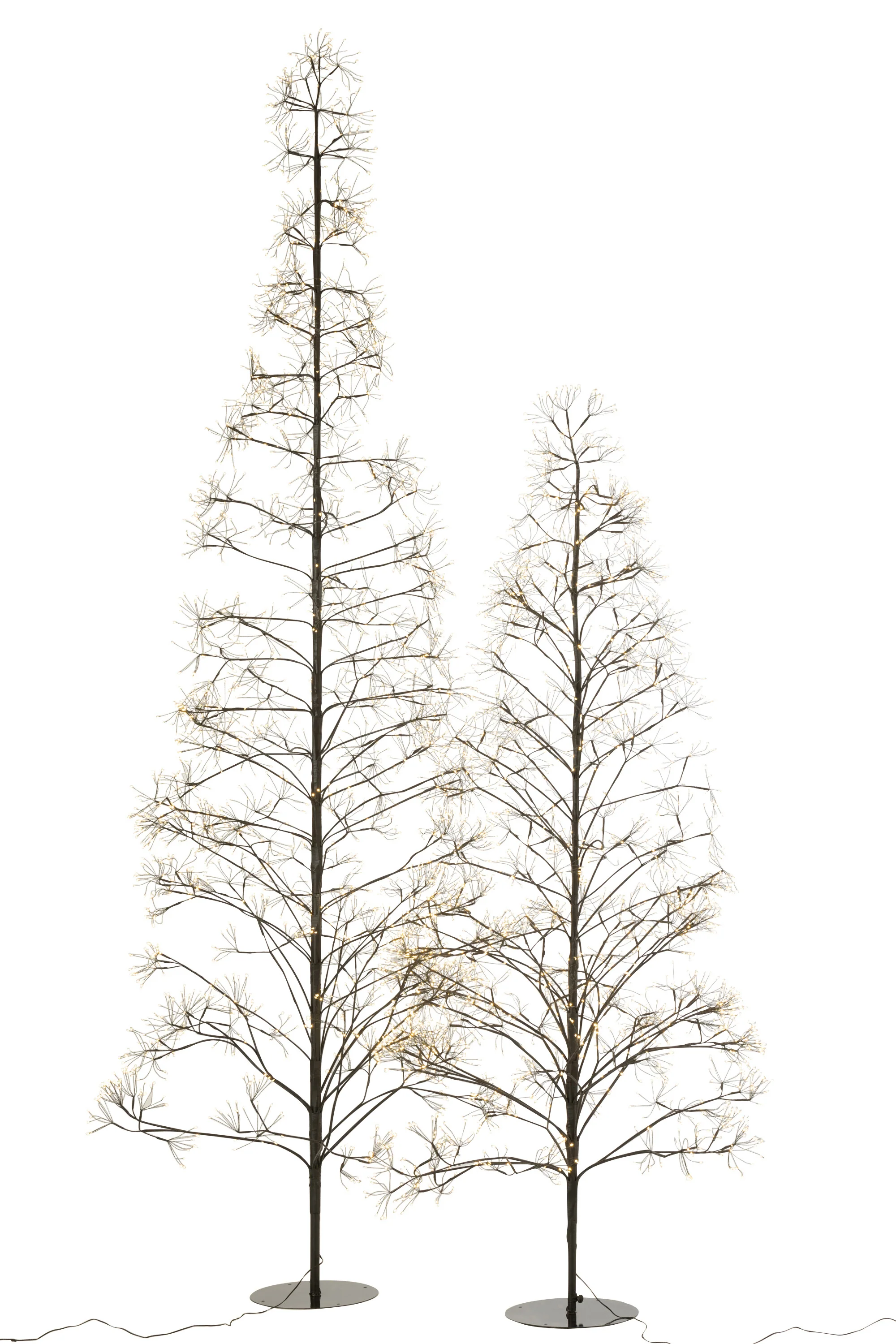 Miniatuur 3