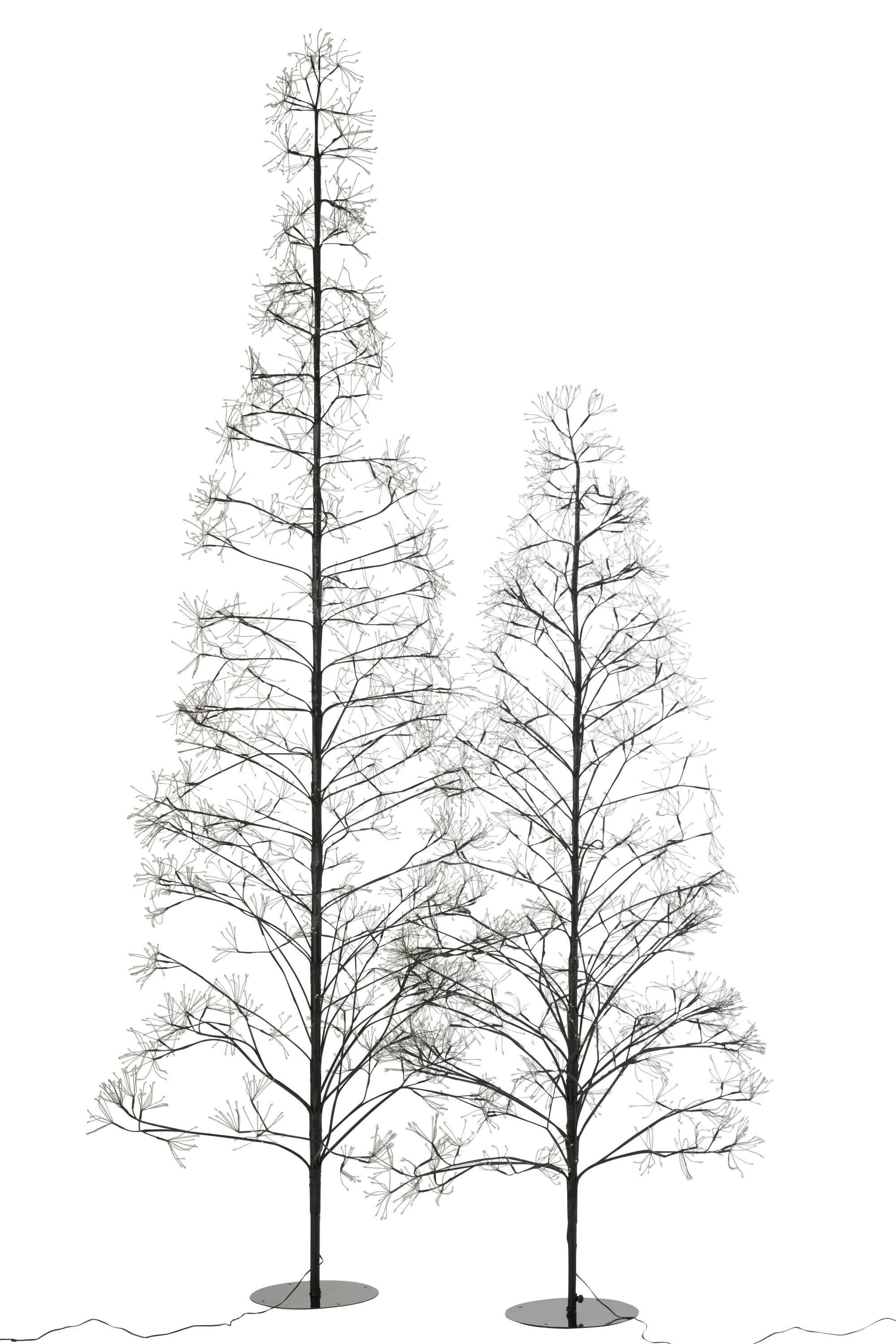 Miniatuur 4