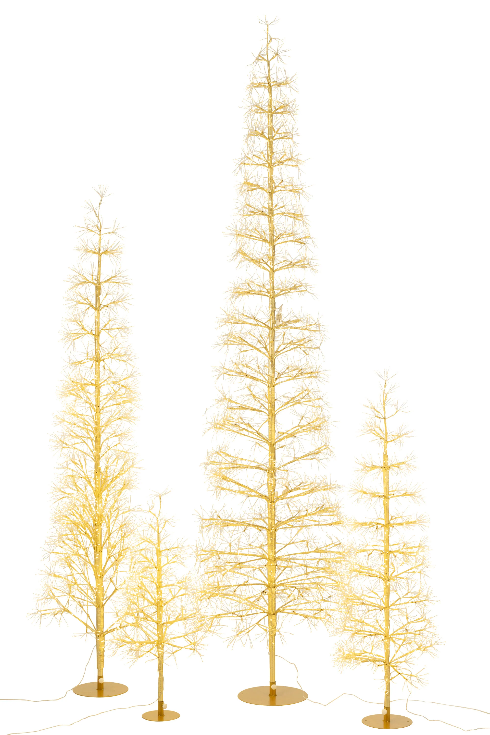 Miniatuur 5