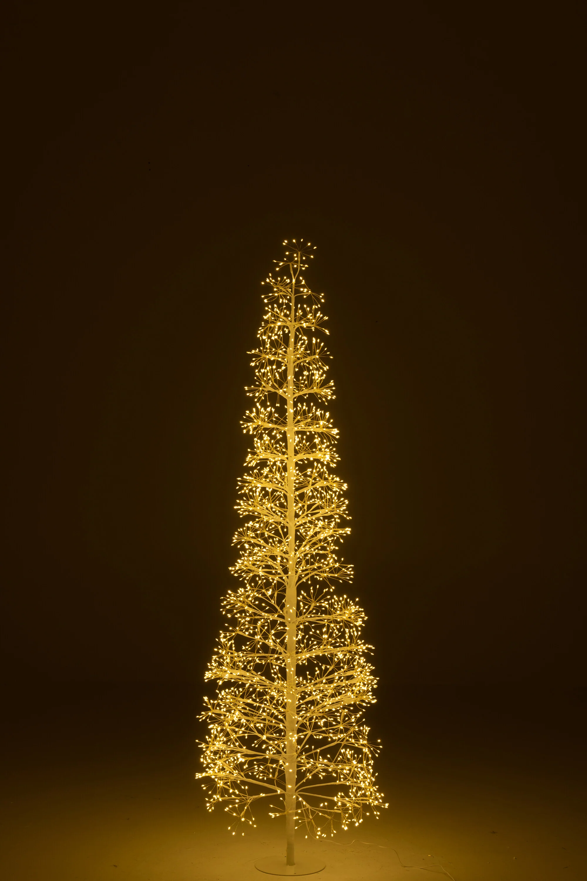 Miniatuur 2
