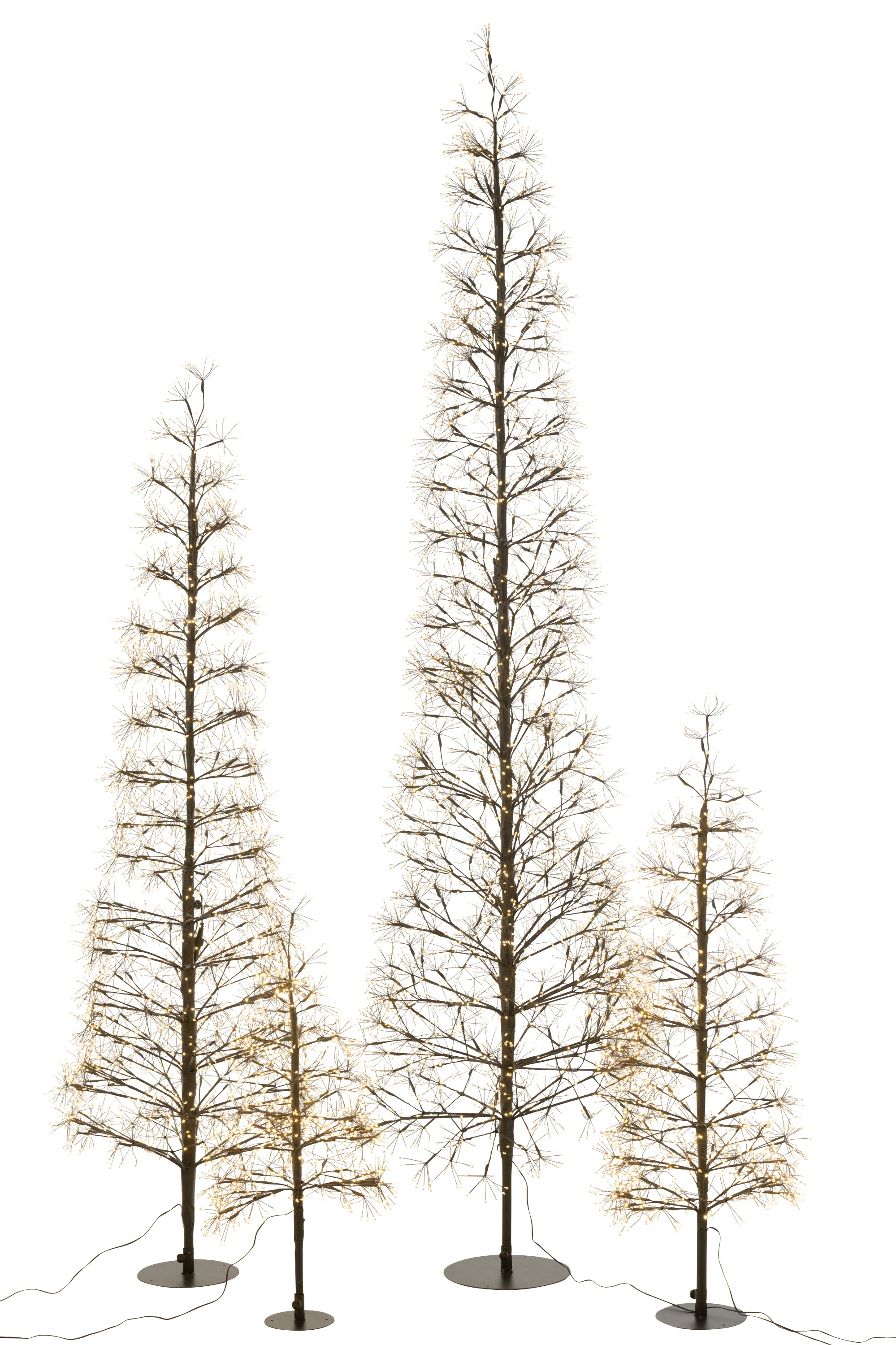Miniatuur 5