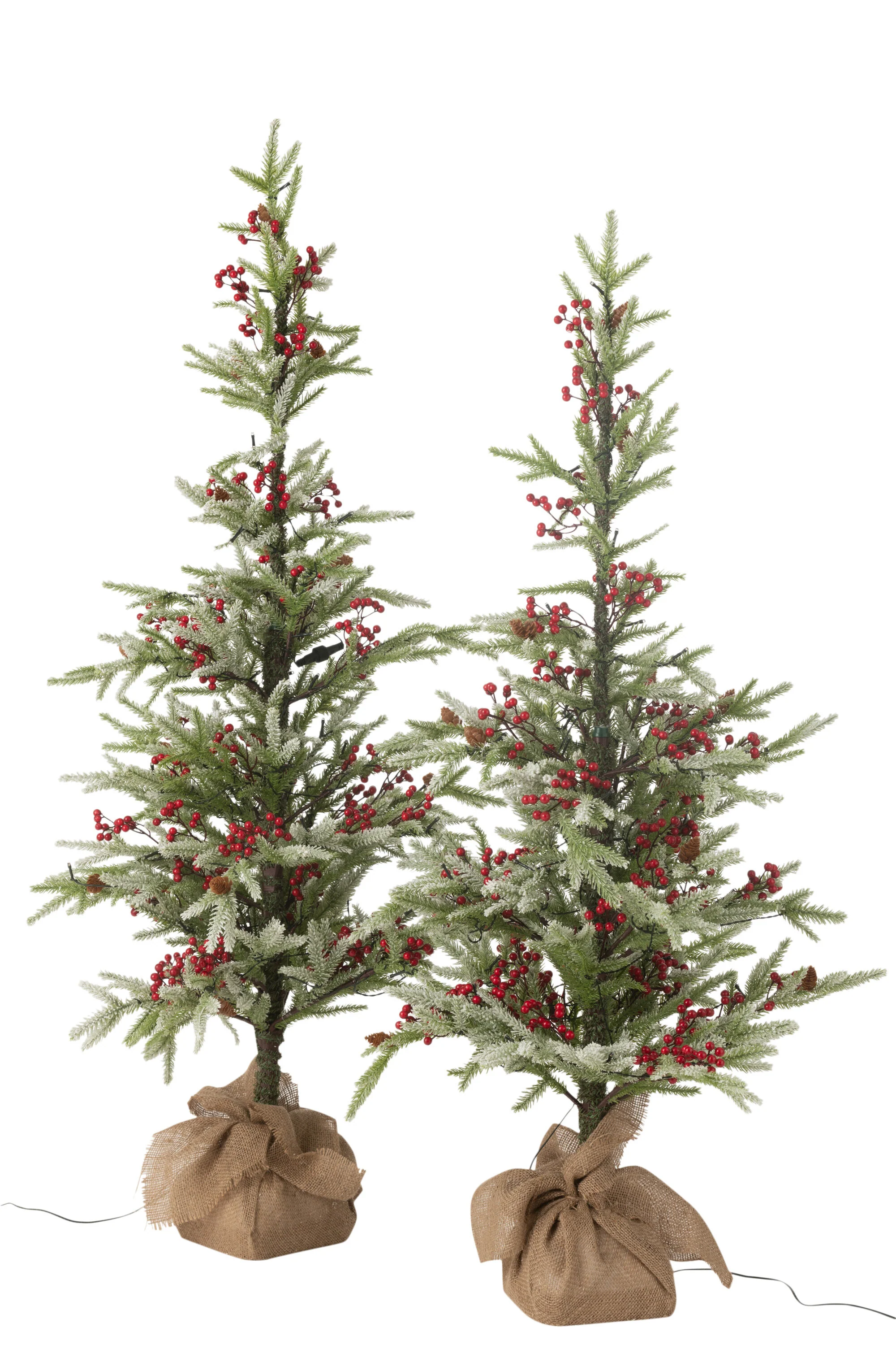 Miniatuur 2