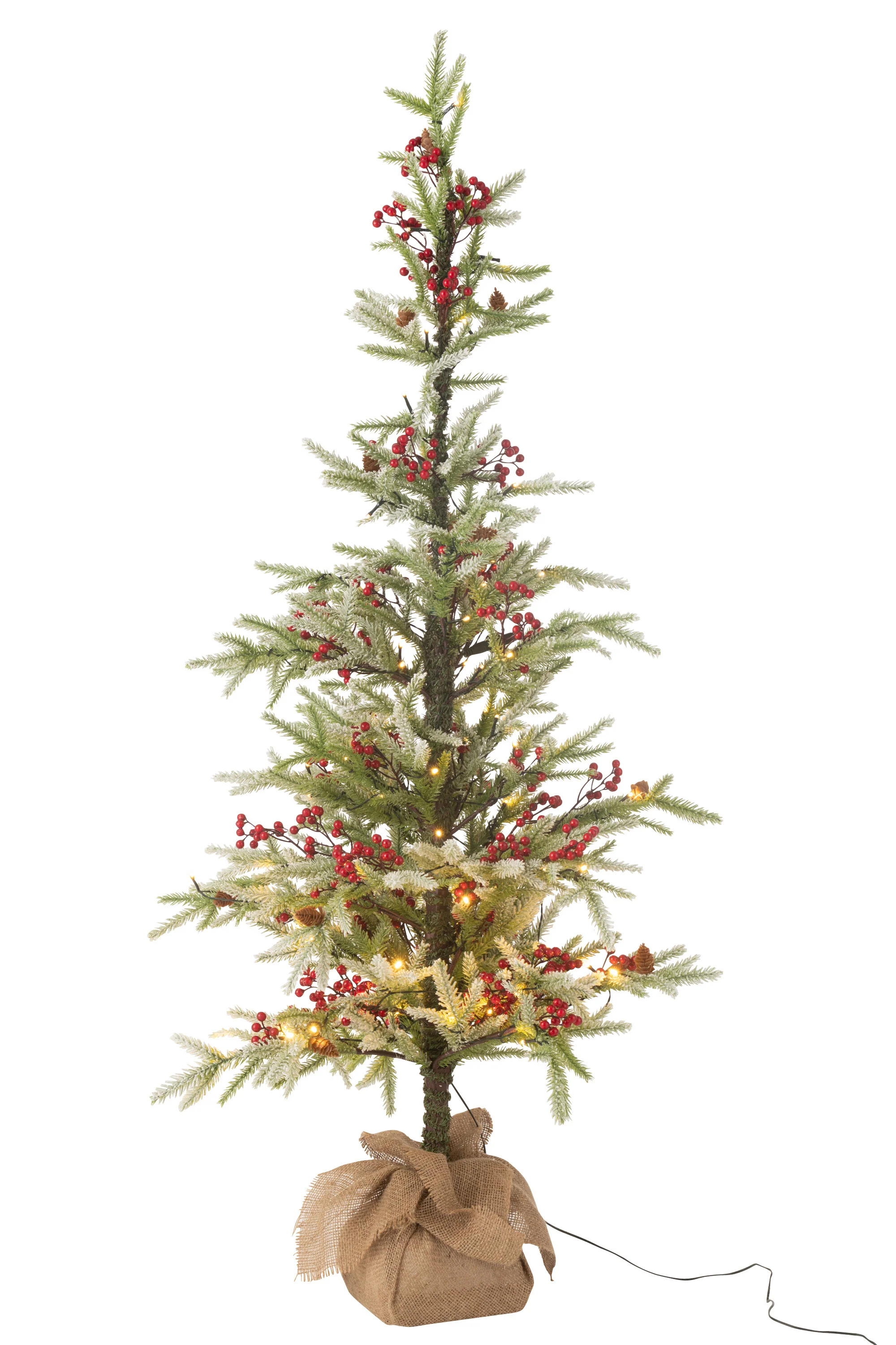 Miniatuur 4