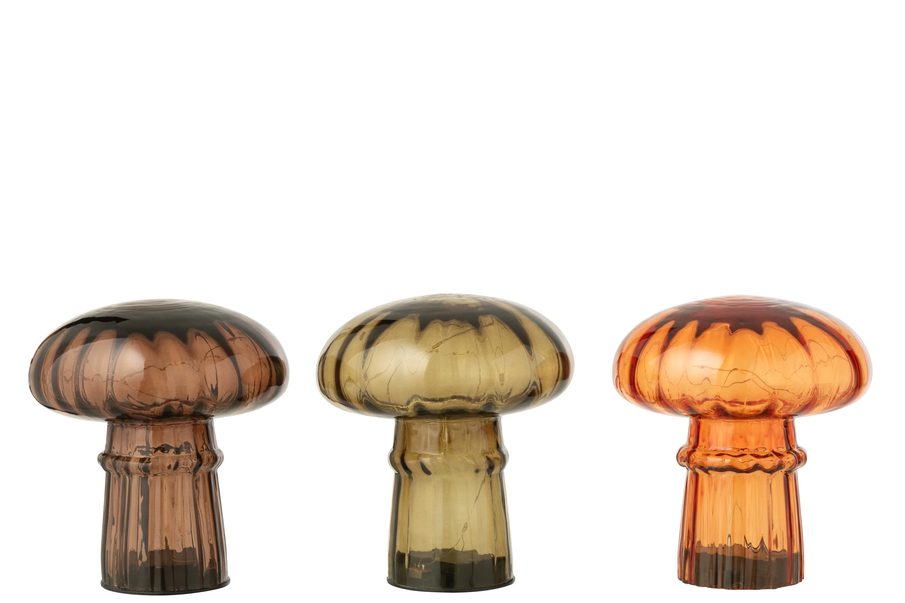 Miniatuur 3