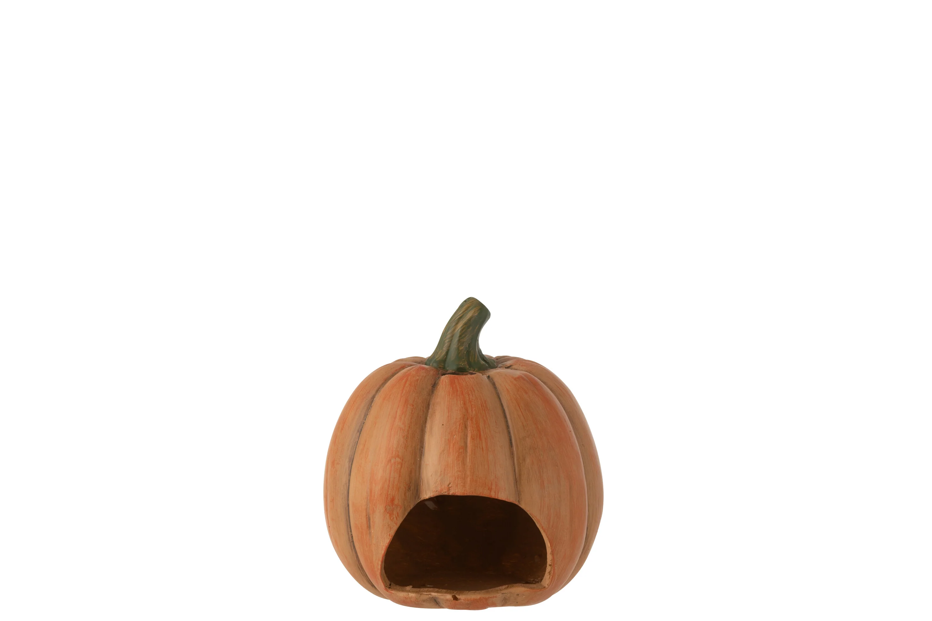 Miniatuur 5
