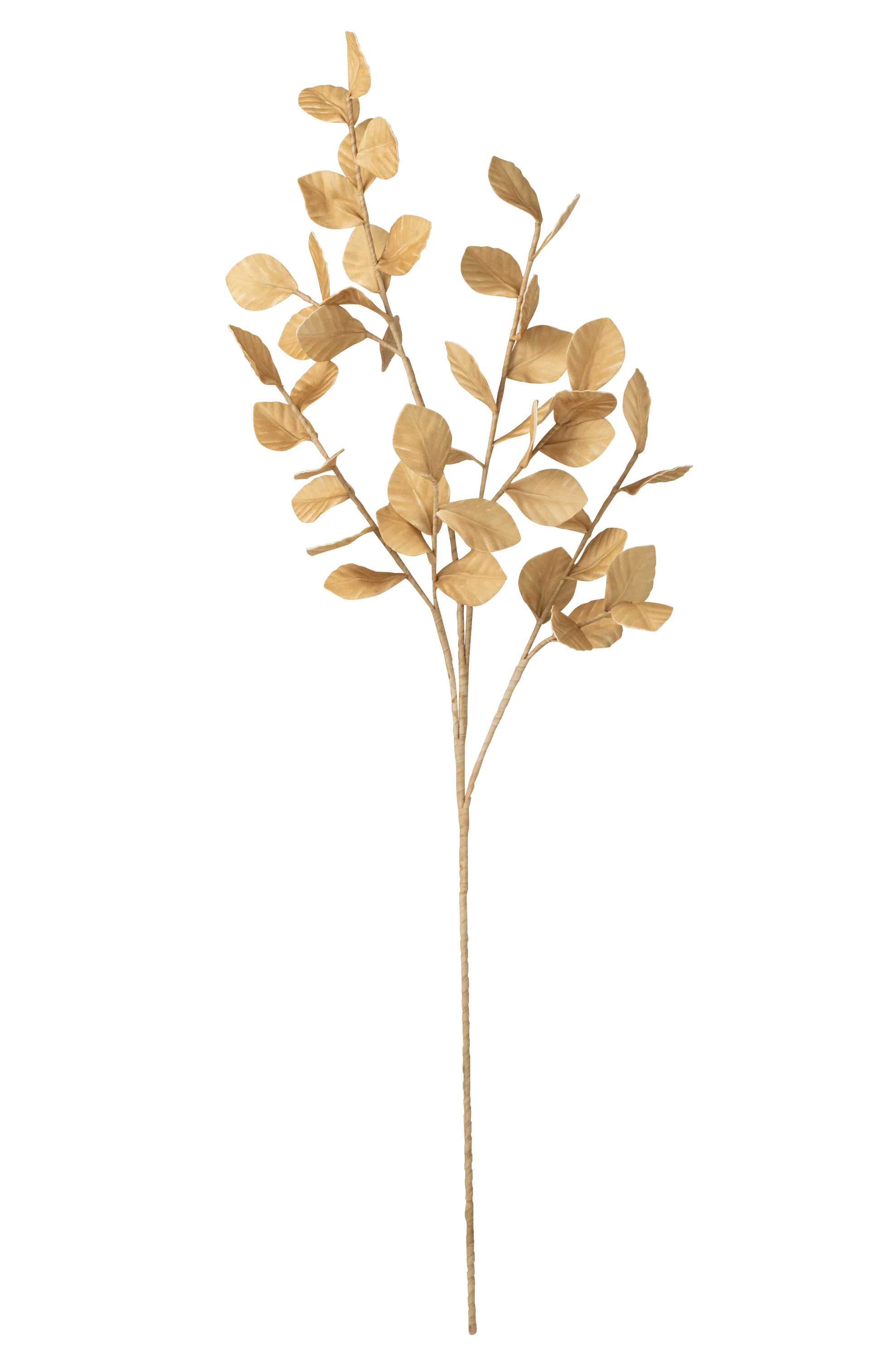 Miniatuur 2
