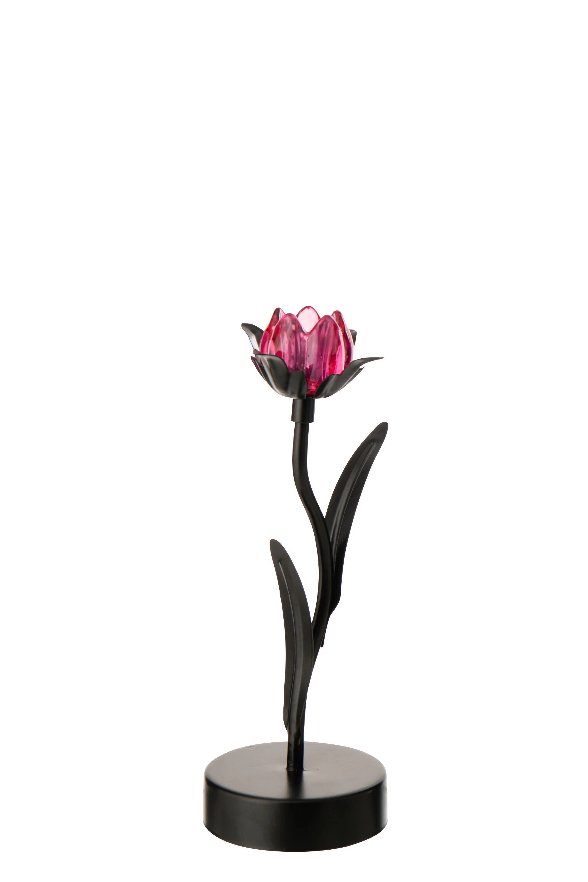 Miniatuur 4