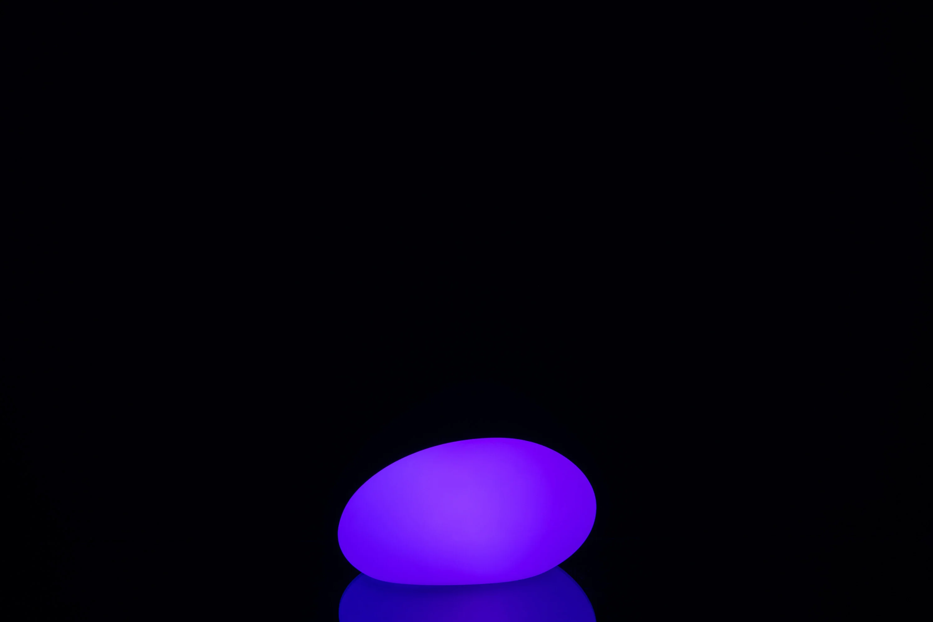 Miniatuur 6