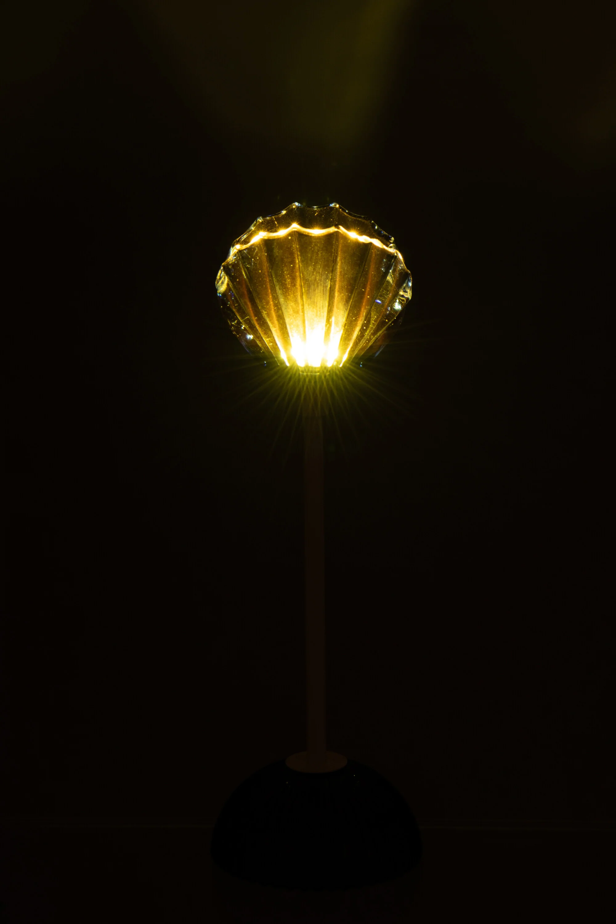 Miniatuur 3