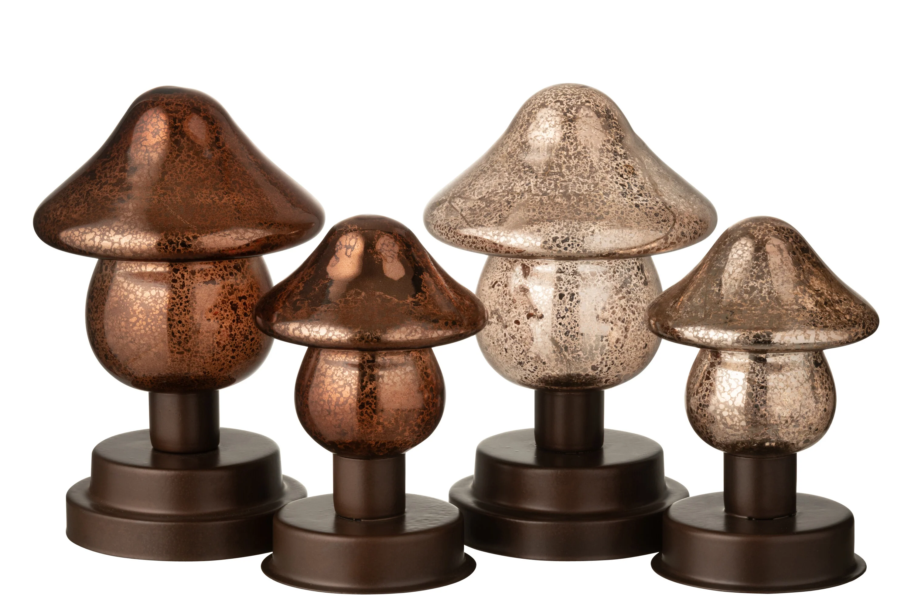 Miniatuur 3