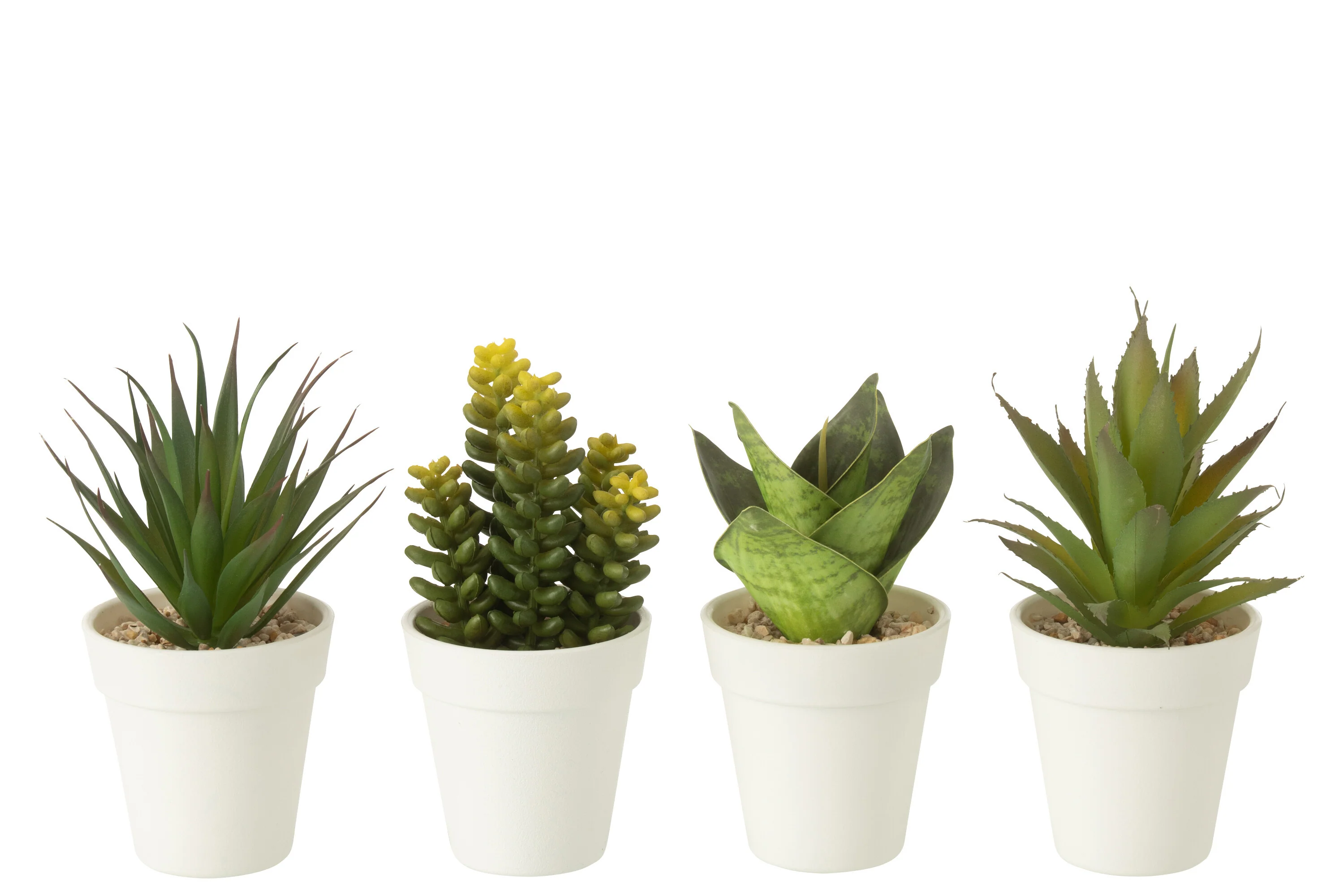 Miniatuur 2