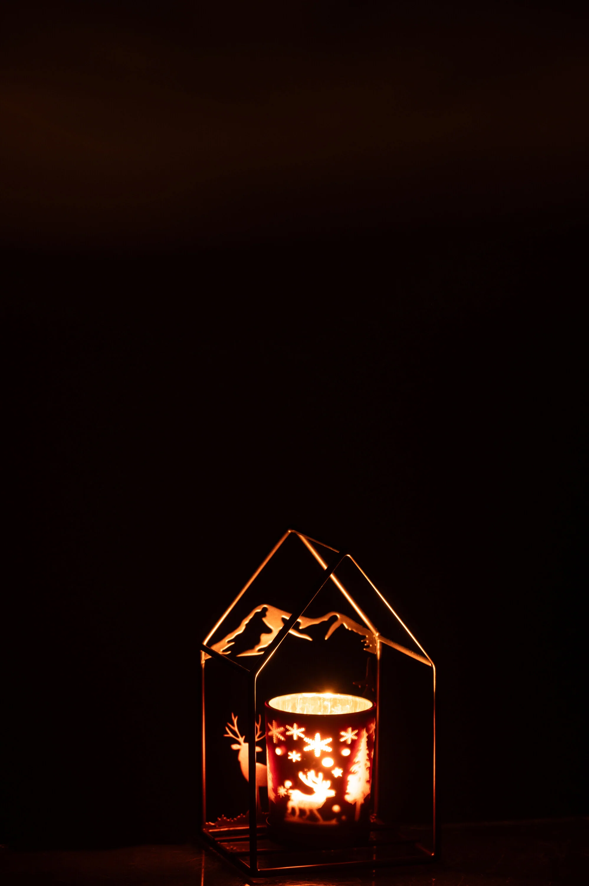 Miniatuur 3